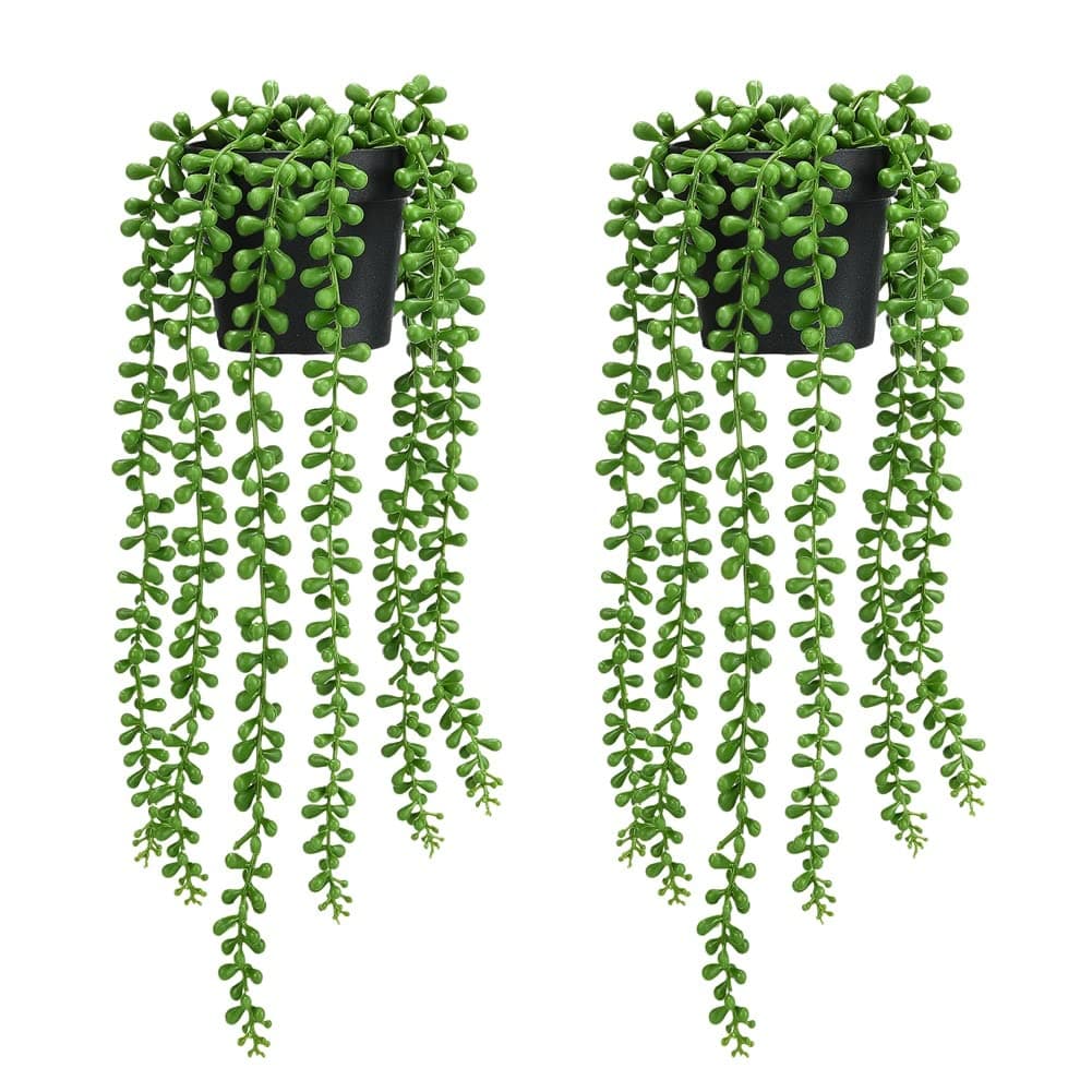 CADNLY Hanging Plants 2 Pack (Green)