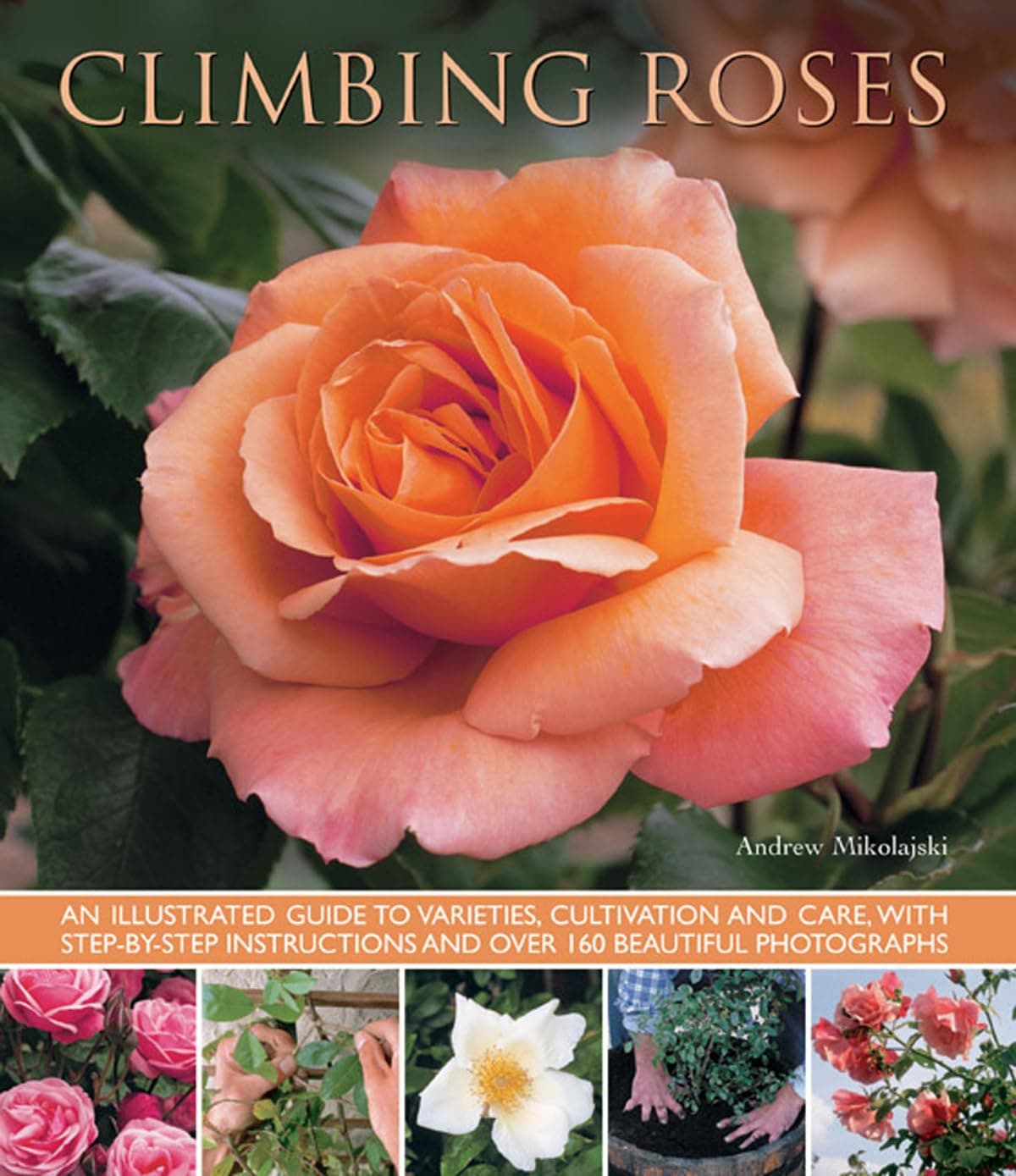 Climbing Roses Paperback – Illustrated, 3 Jun. 2013
