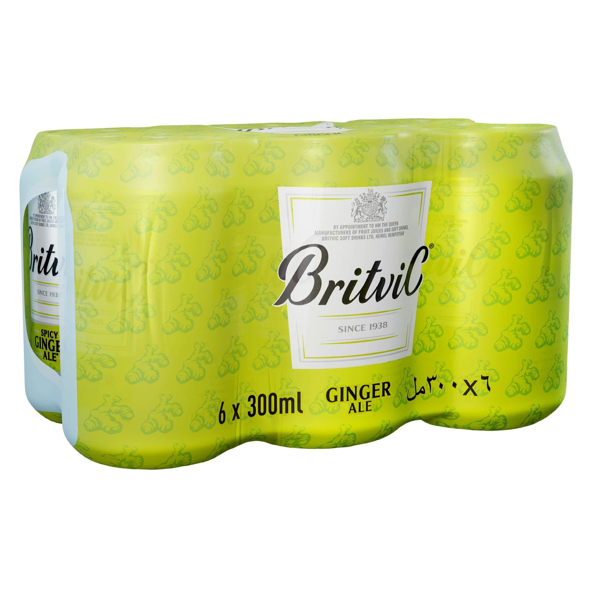 Britvic Ginger Ale 300 ml X 6