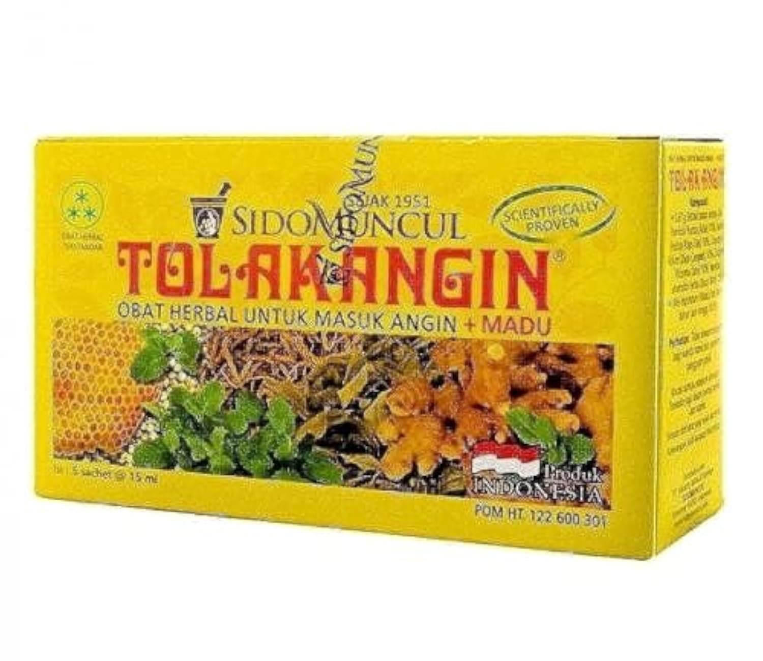 Tolak Angin 12'sx15ml