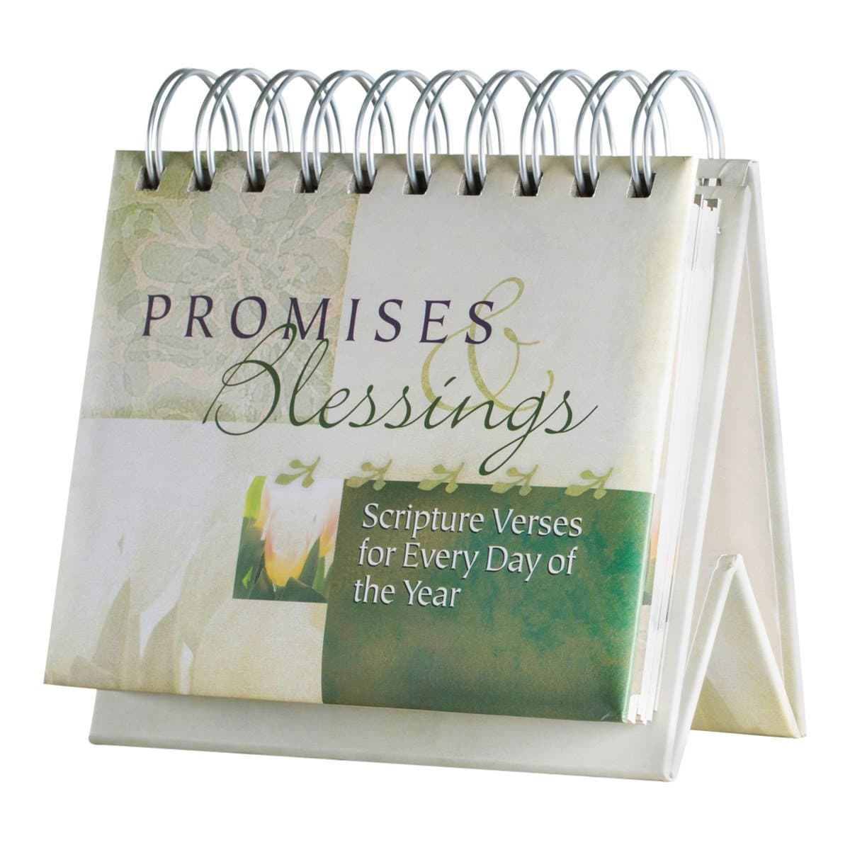 DaySpring - Promises & Blessings: Scriptures Verses for Every Day of the Year - Perpetual Calendar, 1.5" x 5.25" x 5.5" (16766)