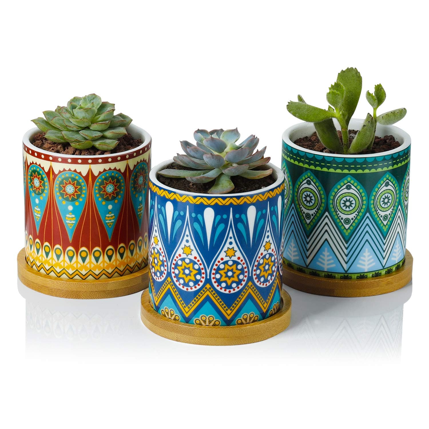 Succulent Planter Pots