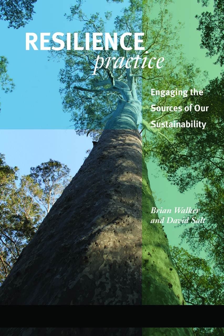 Resilience Practice: Building Capacity to Absorb Disturbance and Maintain Function 1st Edition