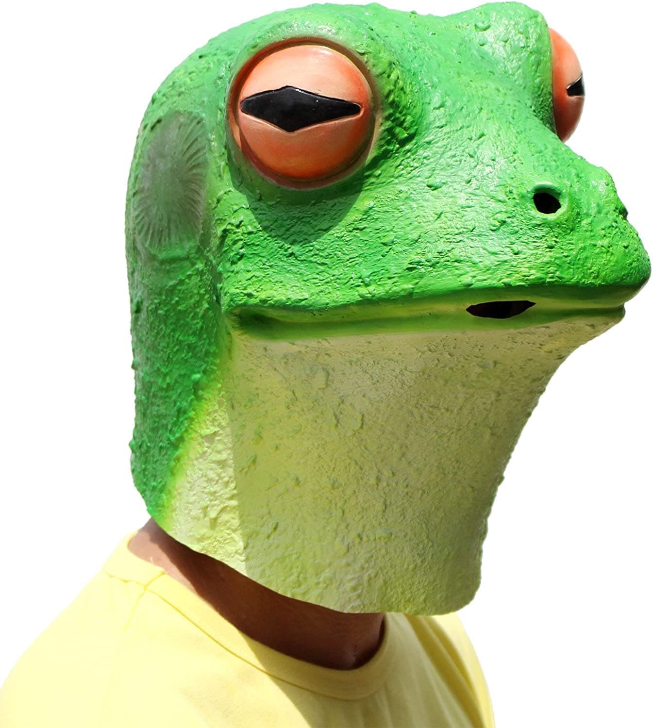 frog mask