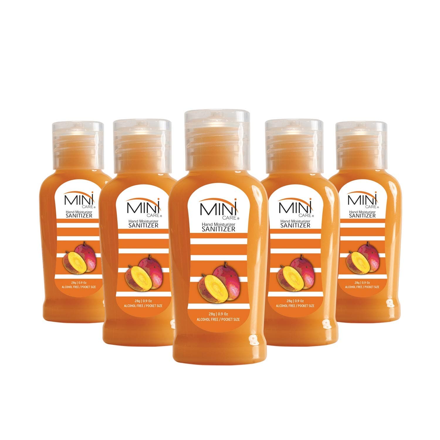 Hand Sanitizer Alcohol Based (Pack Of 6)