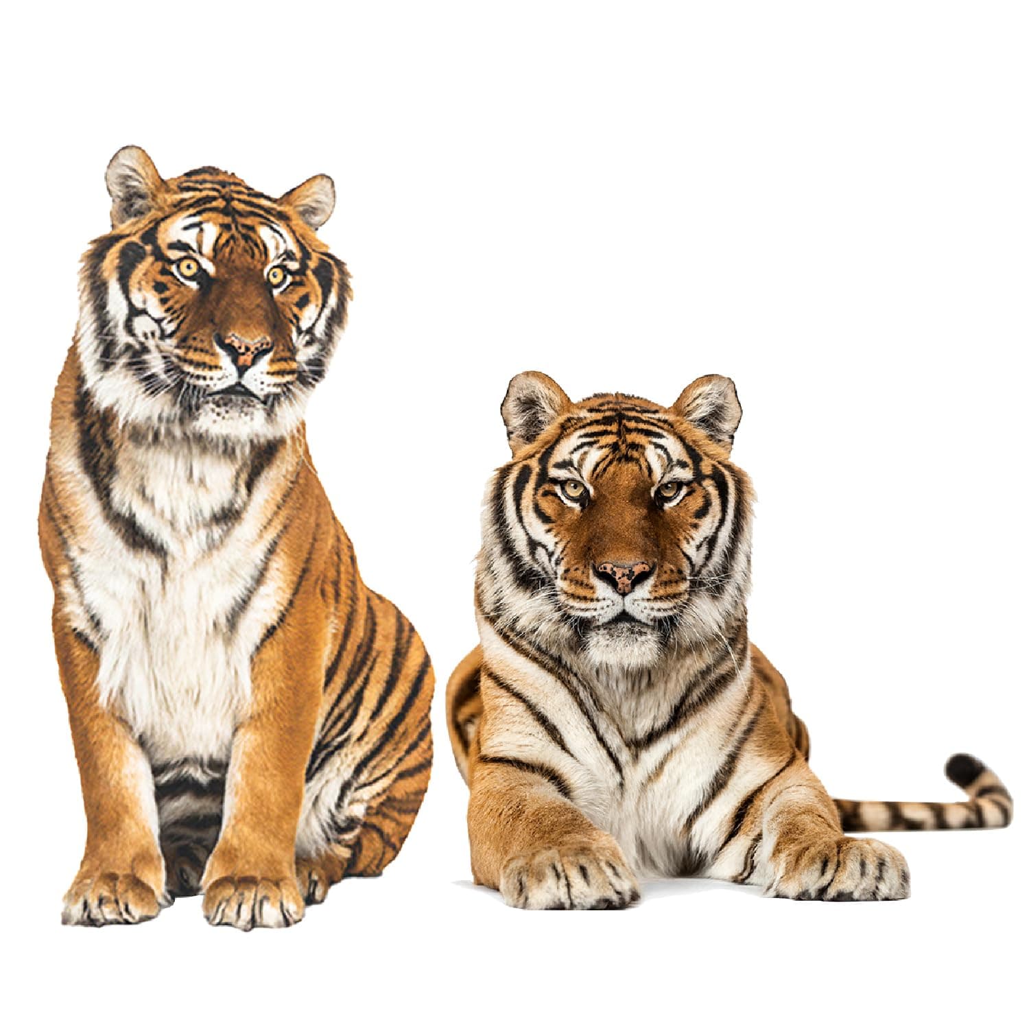 ELANE 2 Sheets Tiger Wall Decor, Tiger Wall Decal, Tiger Wall Stickers for Kids Baby Bedroom Bathroom Living Room Wall Decor Room Decoration