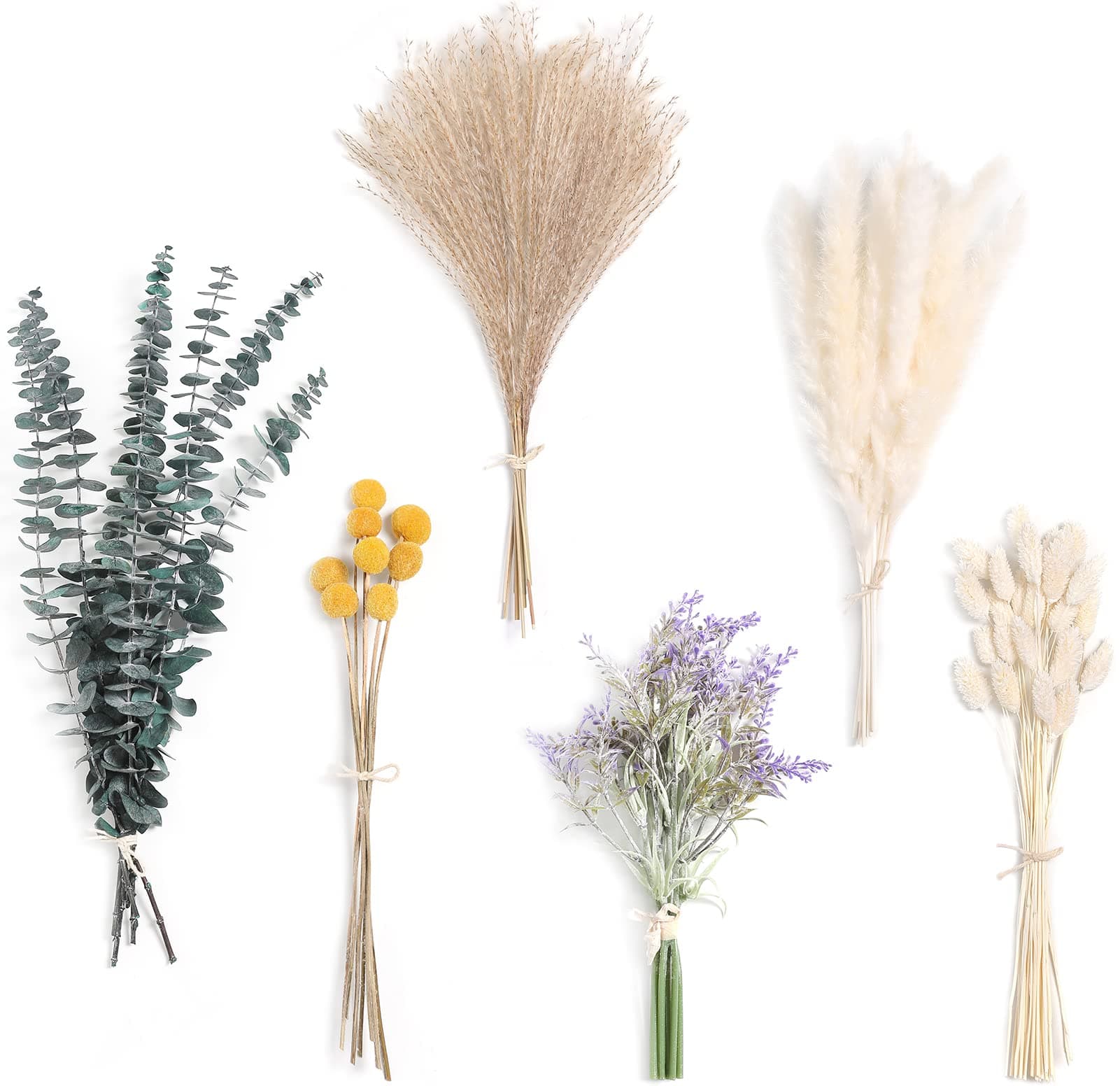 Serra Flora Natural Dried Pampas Eucalyptus Rabbit Tail Grass,(Pack of 66pcs) with 6 Kinds of DIY Bridal Artificial Bouquets Home Decor Wedding Floral Arrangement Table Centerpieces