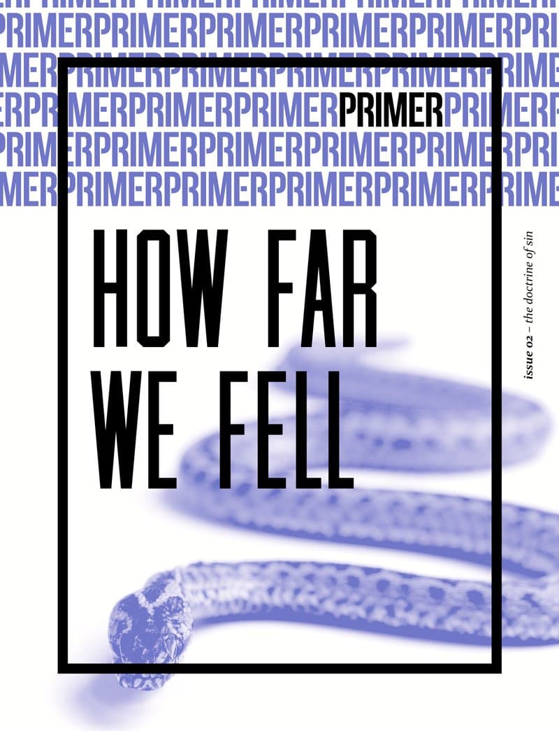 How Far We Fell - Primer Issue 2: The doctrine of sin