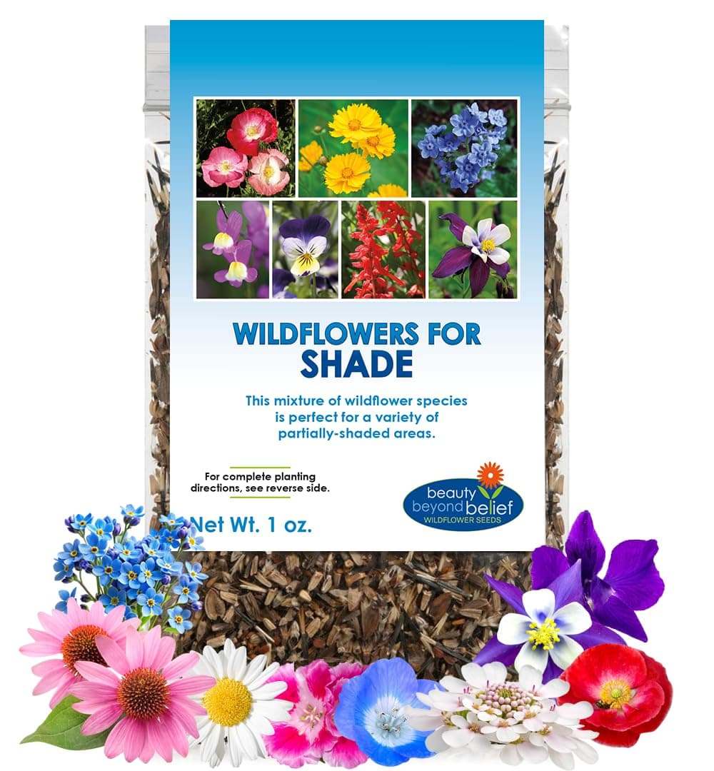 BBB Seed Partial Shade Wildflower Seeds - 1 oz Packet, Open-Pollinated Wildflower Seed Mix, No Fillers, Annual, Perennial Wildflower Seeds for Planting Year Round - 1 oz