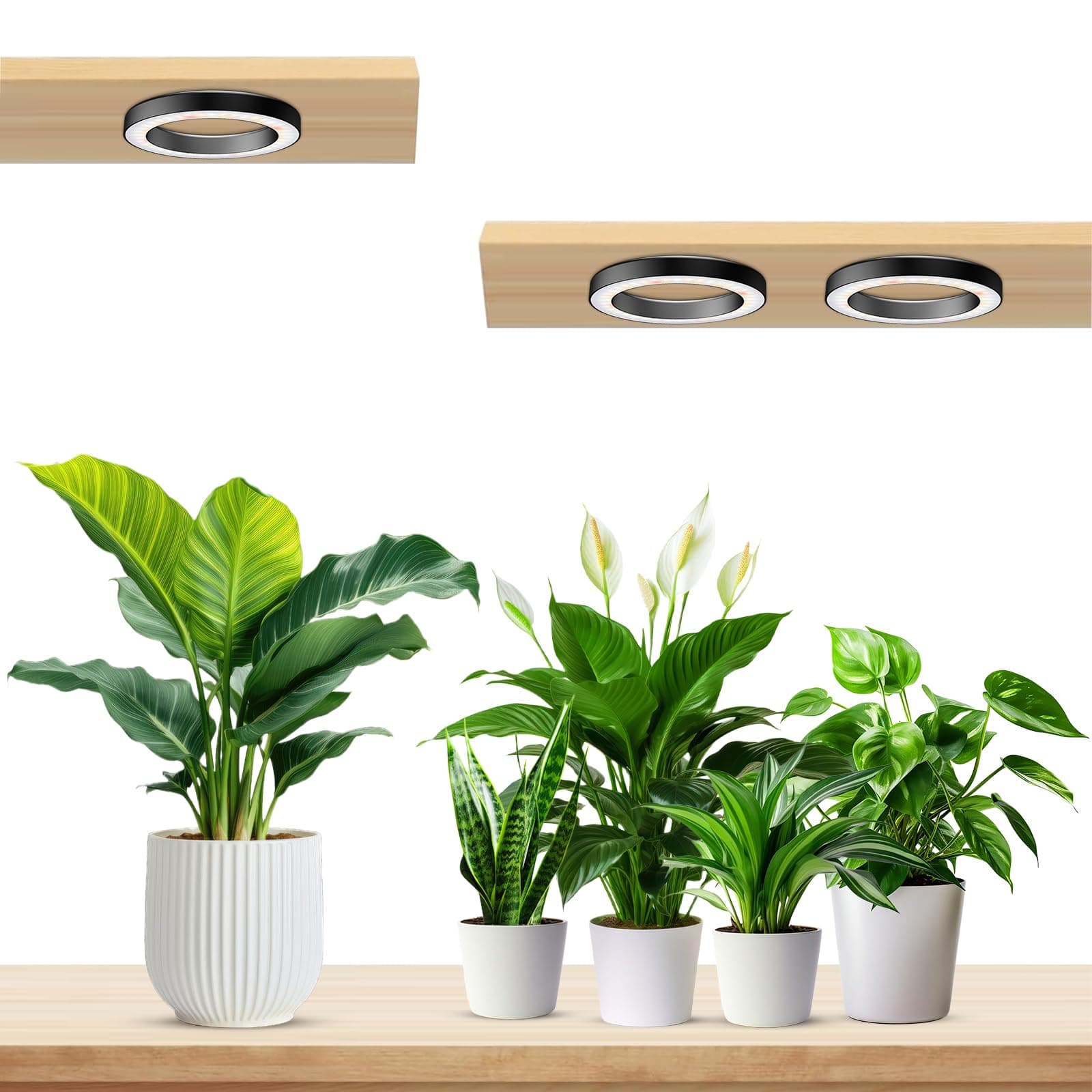 6.3” Ceiling Plant Grow Light, 252 LED Full Spectrum Halo Grow Lights for Indoor Plants, 12V/3A Under Cabinet Grow Lamp with 6/12/16 Hrs, 3 Lighting Mode, 5 Dimmable Levels, Tri Head