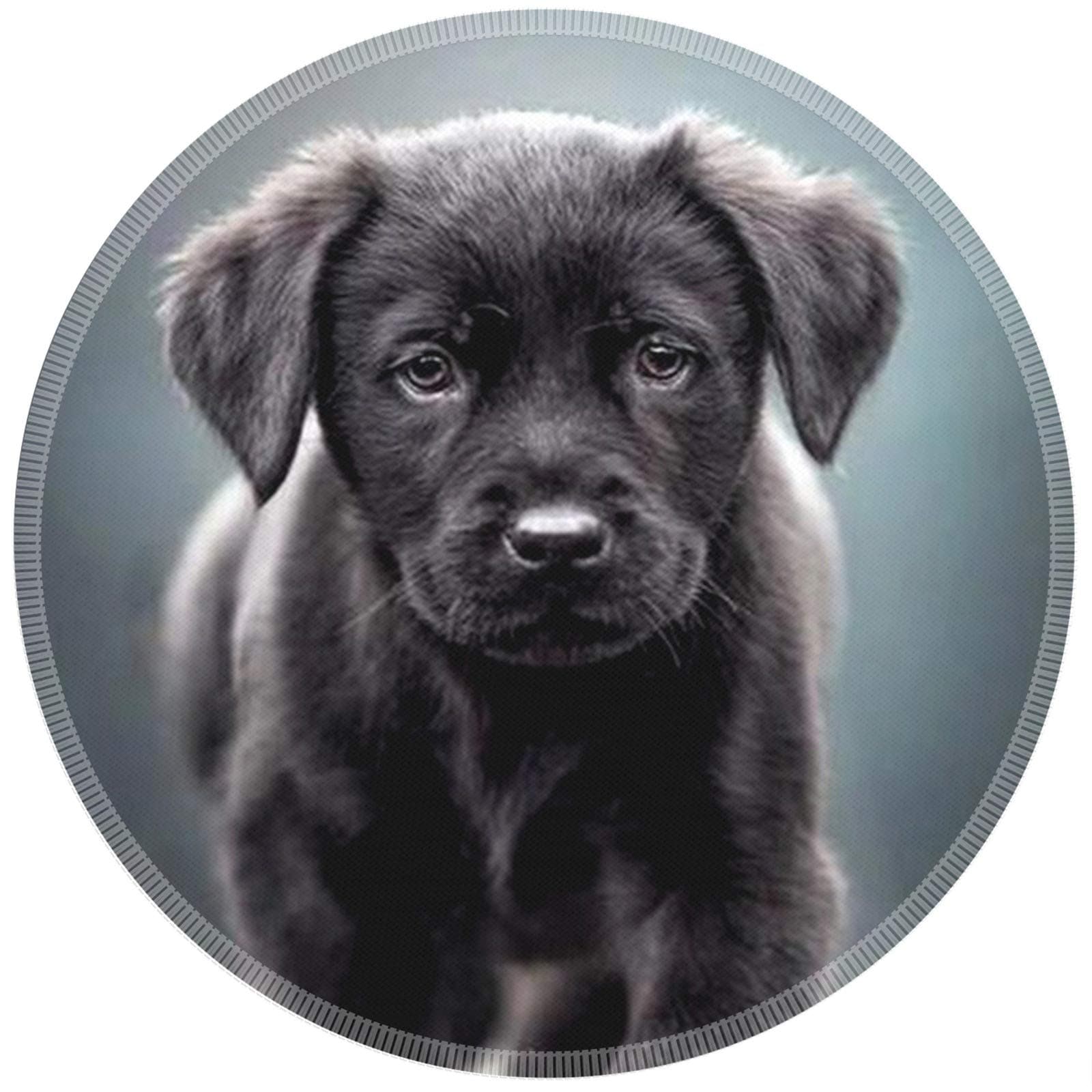 iNeworld [30% Larger] Mouse Pad Round Mousepad Non-Slip Rubber Base Cute Mouse Pad for Kids Extra Largre Round Mousepad for Laptop Office with Stitched Edge (9.85×9.85×0.12 in) (Dog)