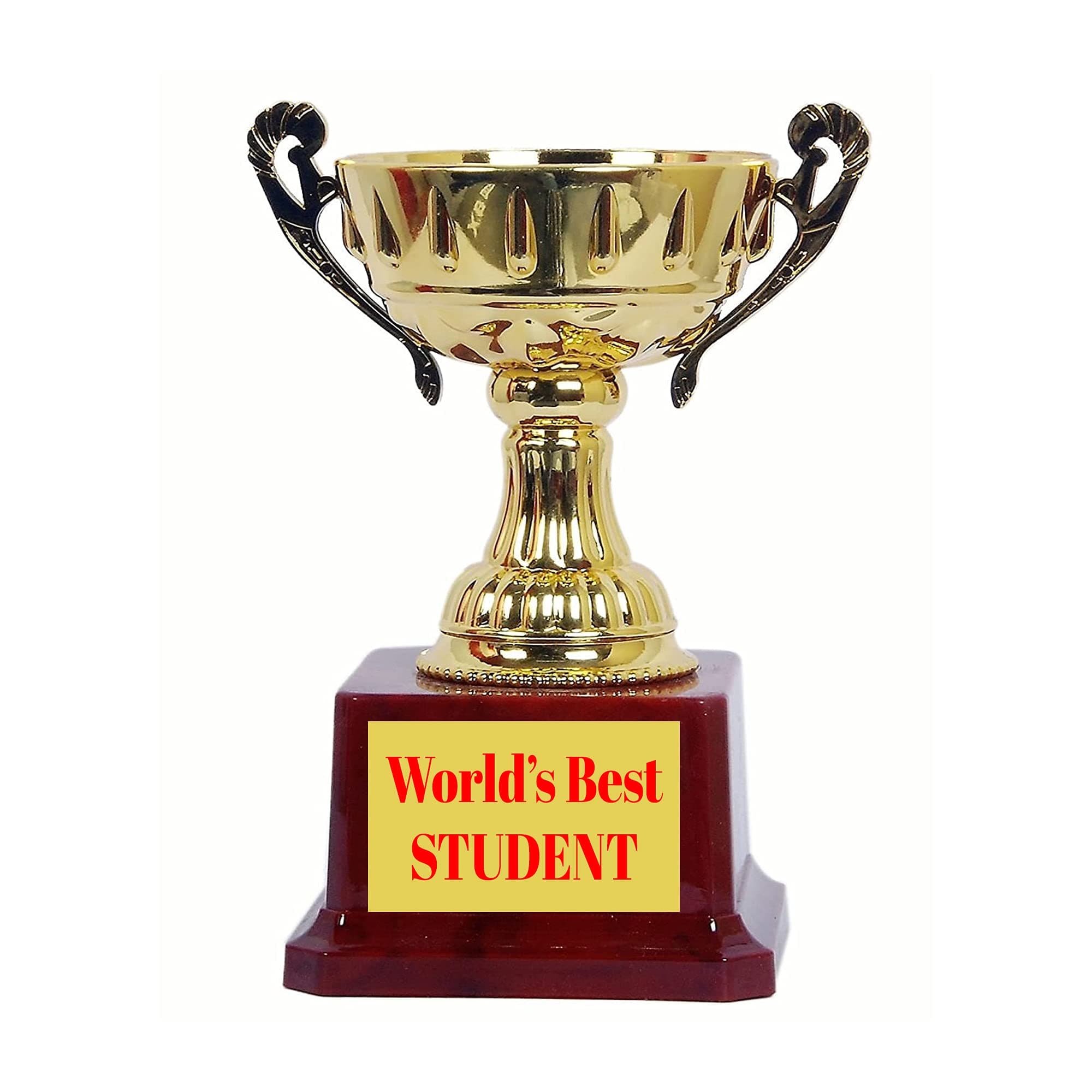 JUZ4U Open Cup World's Best Student Trophy