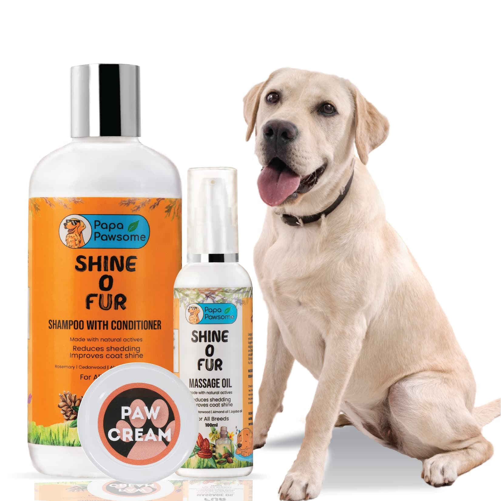 Papa Pawsome Short Coat - Labrador - Basic Grooming Kit Shine O Fur Shampoo with Conditioner 250ml + Shine O Fur Massage Oil 100ml + Paw Cream 25gm
