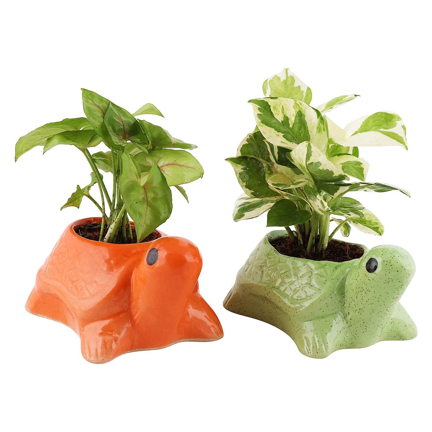 Turtle Shape Ceramic Pot, Orange, 4 Inch Size, 1 pc