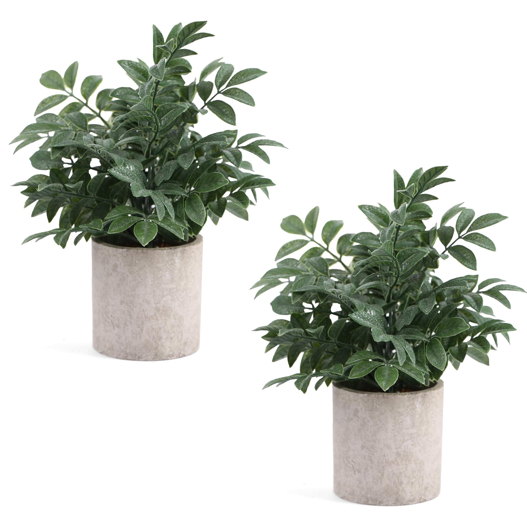 Coferset 2 Pack Small Fake Plants Potted Artificial Herb Plants for Shelf Des...