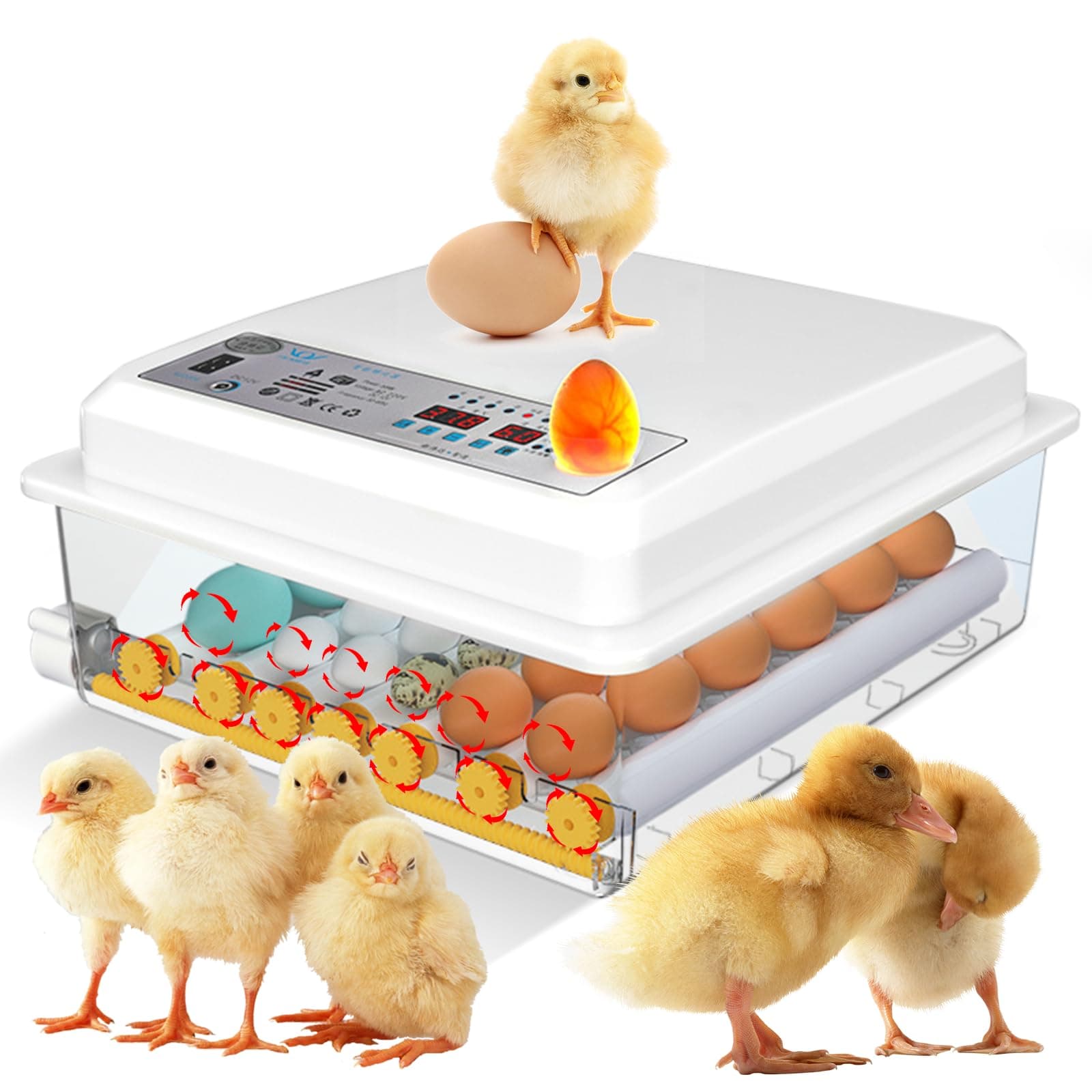 Incubator for Chicken Eggs, 24-36 Egg Incubator with Automatic Egg Turning and Humidity Control – Ideal for Chicken, Duck, and Quail Eggs