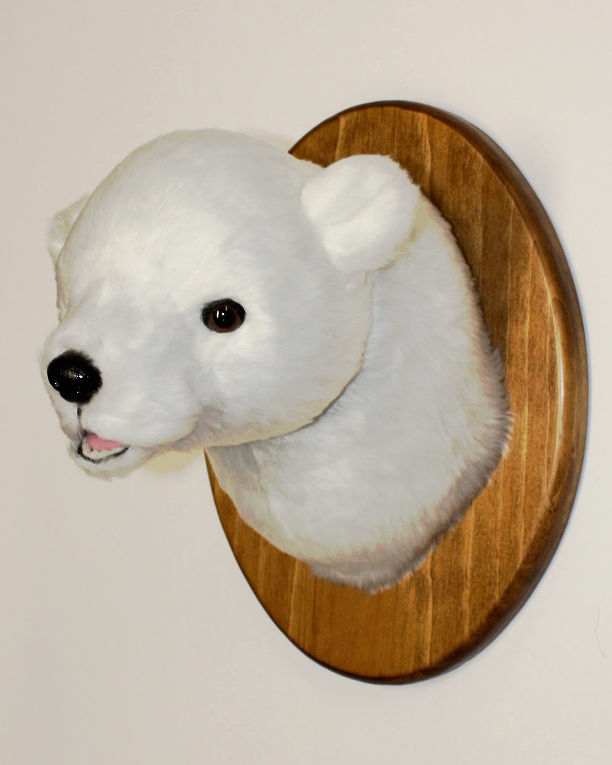 Plush Polar Bear Head "Perry" Small Plaque Mount