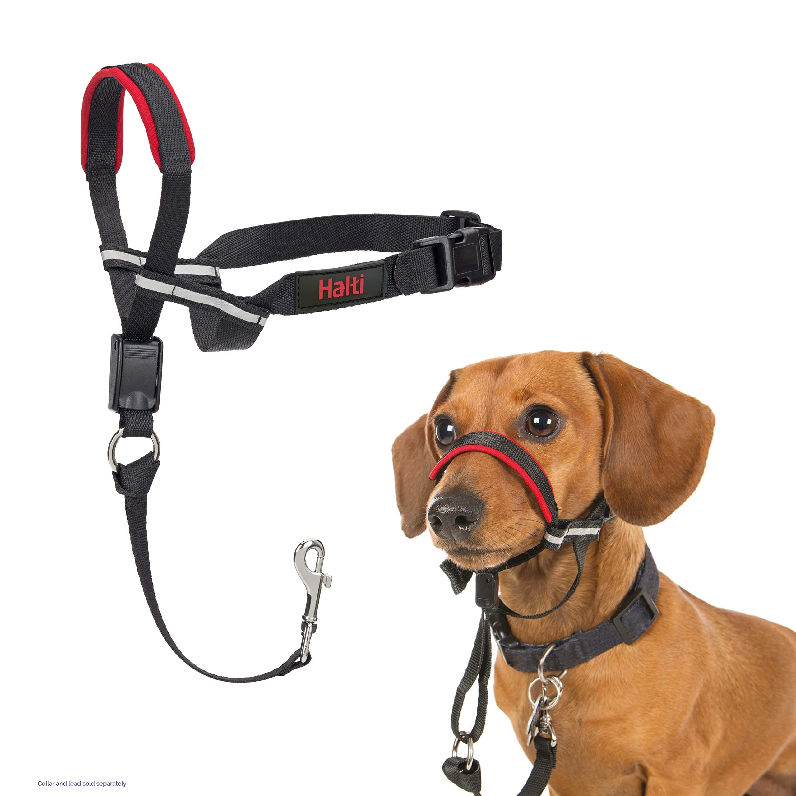Halti Optifit Headcollar - Stop Your Dog Pulling on the Leash. Adjustable, Reflective and Lightweight, with Padded Nose Band. Dog Training Anti-Pull Collar for Small Dogs (Size Small)