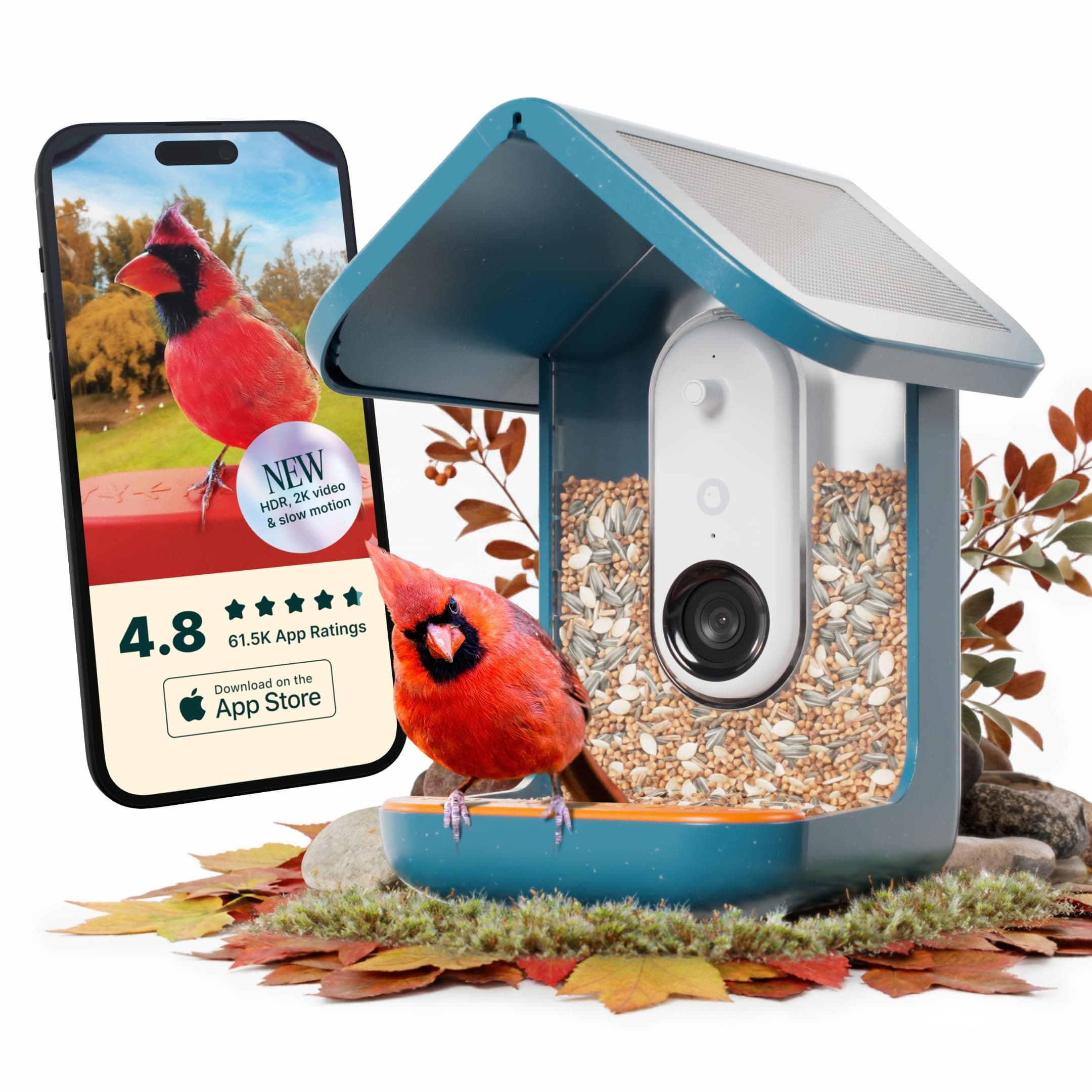 Bird Buddy PRO Solar Smart Bird Feeder with Camera - AI Bird Species Identification, 5MP Photos, 2K HD Video Live Stream Camera, Slow Motion Video, 2.6" Focus - Blue Solar
