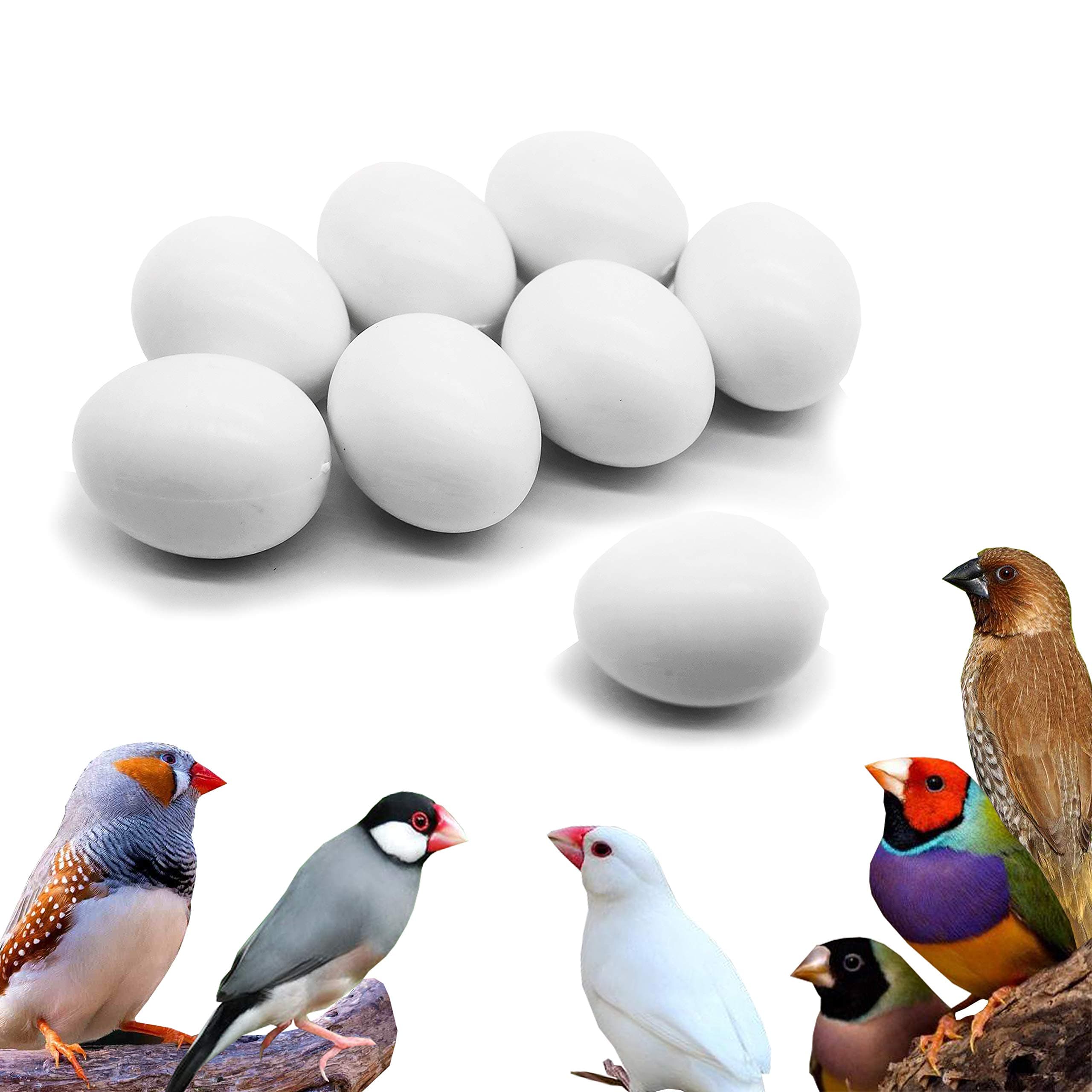 FOIBURELY 8 Pcs Solid Bird Dummy Eggs Hatching Eggs Gouldian Finch, Society Finch, Zebra Finch, Spice Finch Trick The Birds to Stop Laying Eggs, Dummy Eggs（16mm12mm）