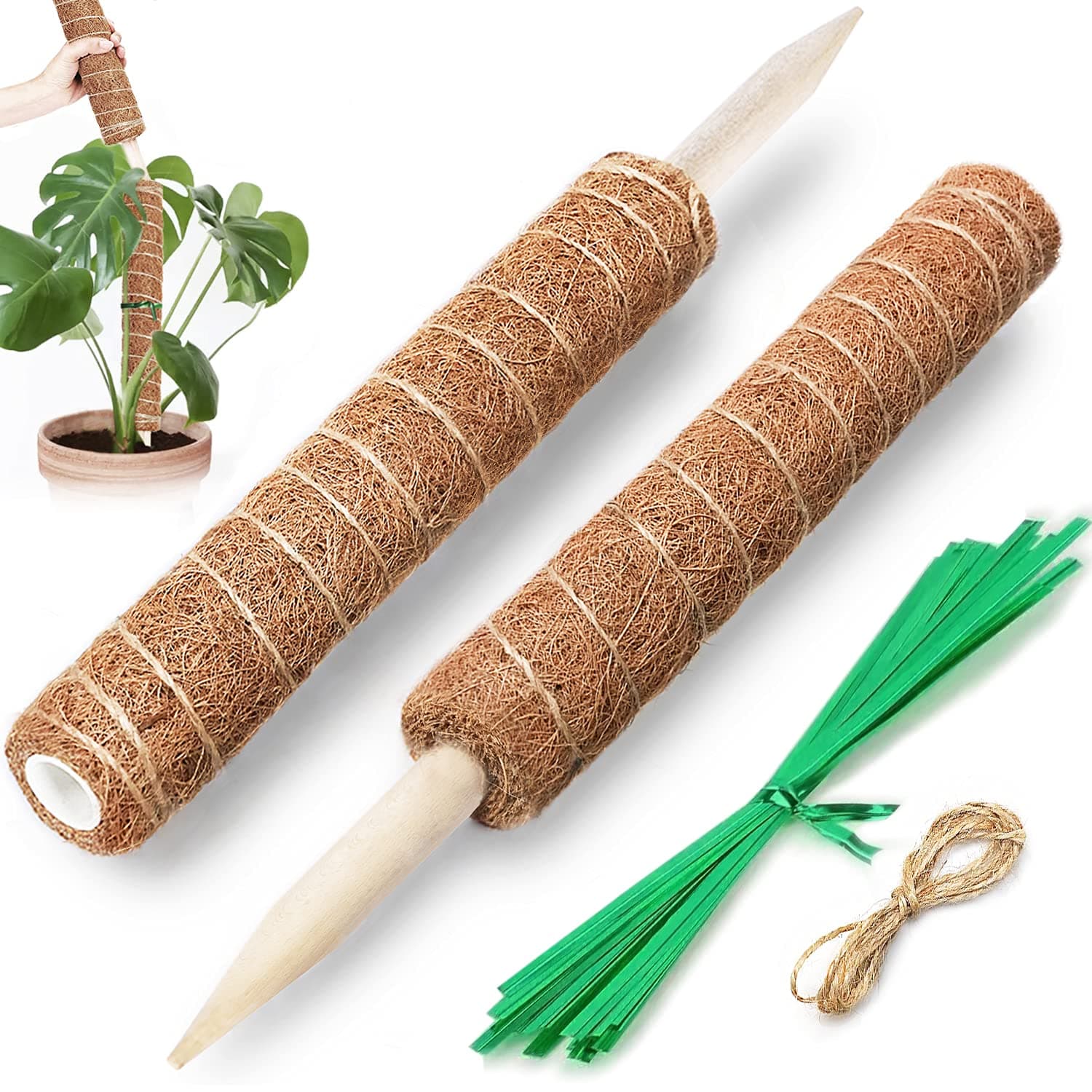 LIOYA Moss Pole, 11.8 in/2 Pcs Coco Coir Plant Support Stakes for Indoor Potted Plants Monstera, Philodendron, Pothos Plant Live and Climbing, with Reusable Ties