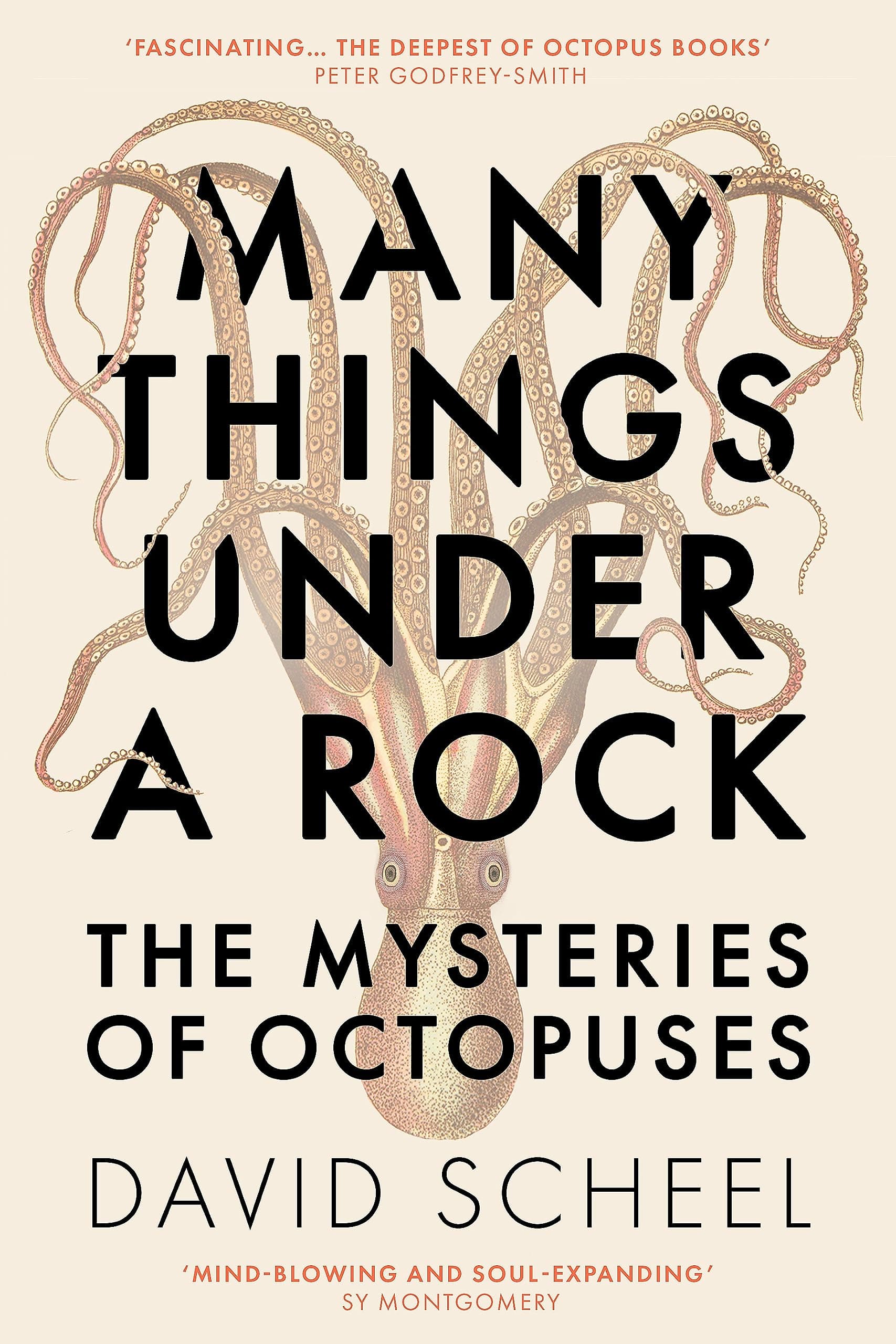 Many Things Under a Rock: The ‘mind-blowing’ book that reveals the mysteries of the octopus