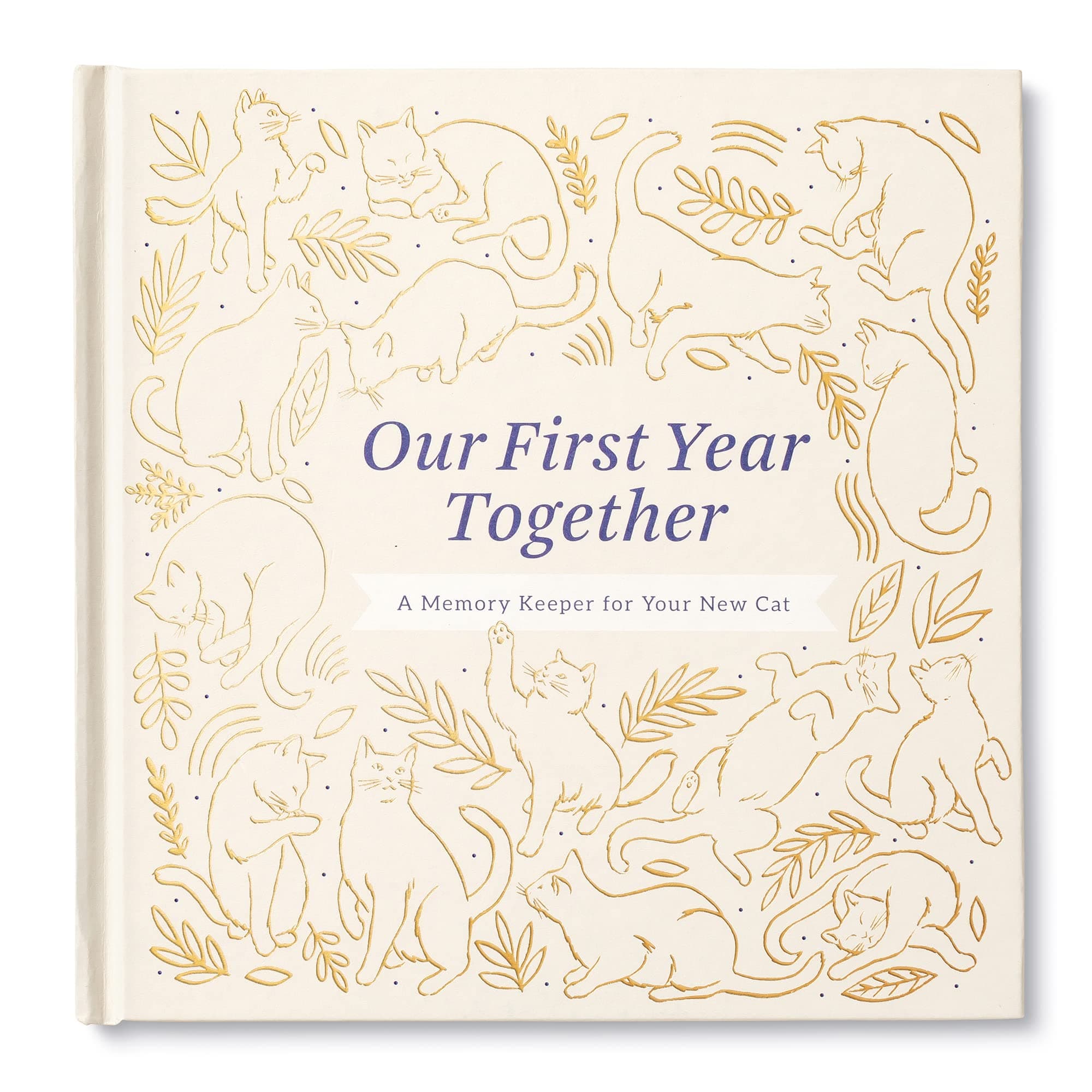 Our First Year Together: A Memory Keeper for Your New Cat