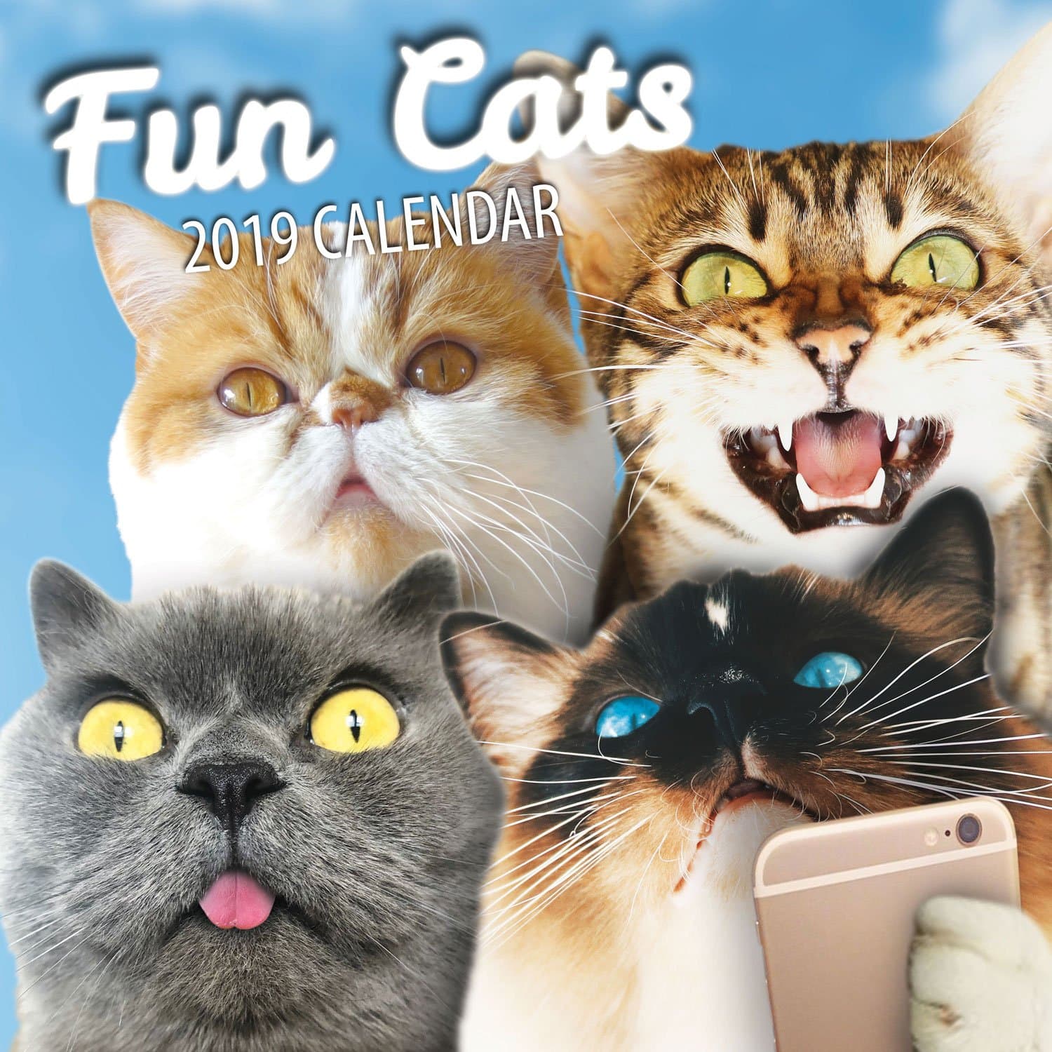 Fun Cats 2020 Cat Wall Calendar (2019)