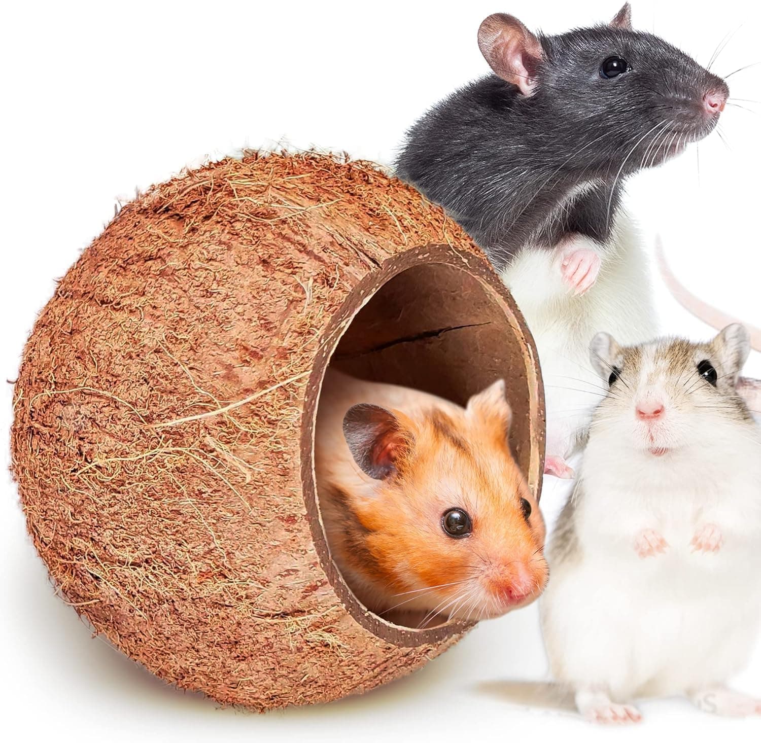 Coconut Shell House for Gecko, Snake & Ball Python, Raw Coco Husk, Pet Hiding House, Climber or Chew Toy, for Reptiles, Amphibians (Coco Bowl)