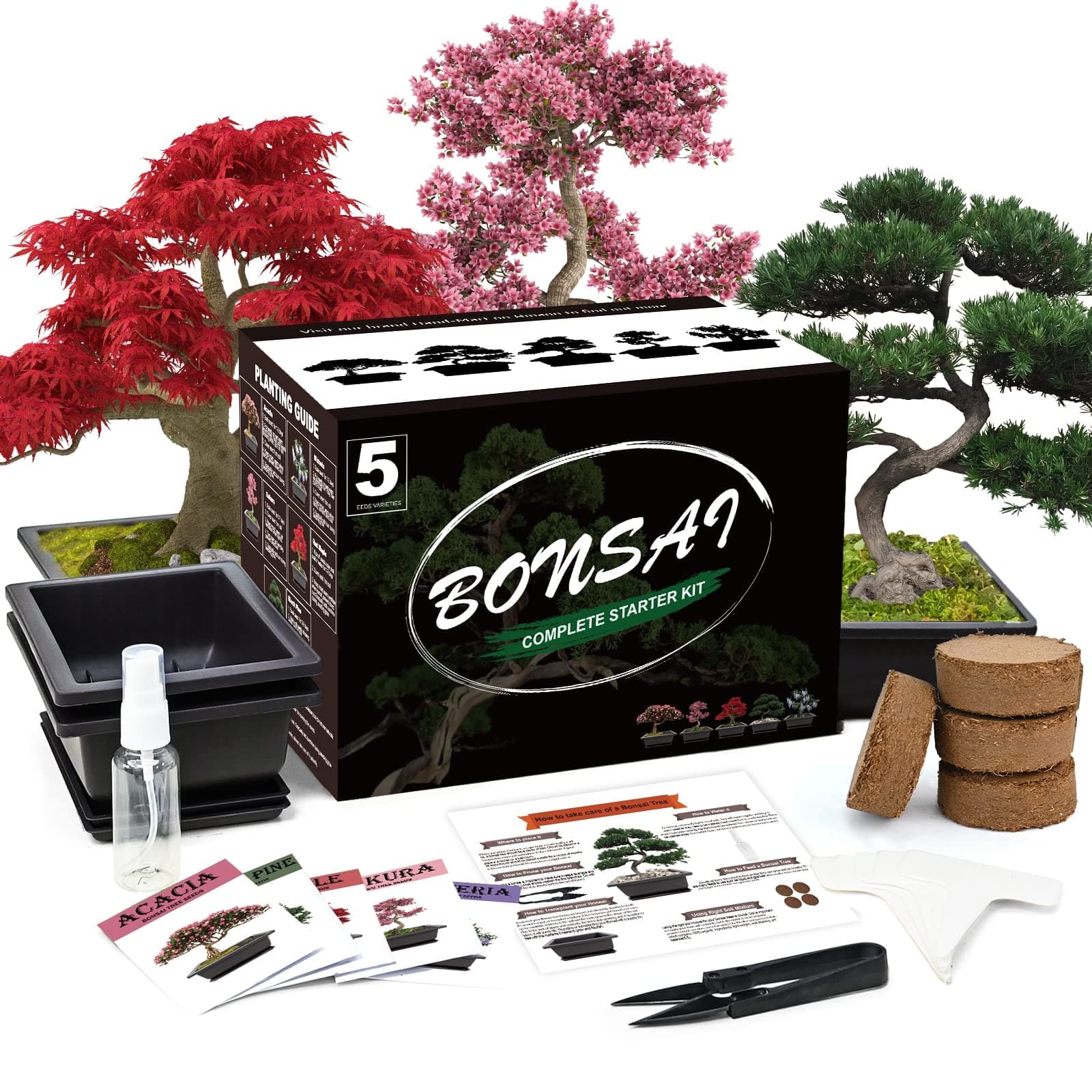 Bonsai Seeds Grow Starter Kit