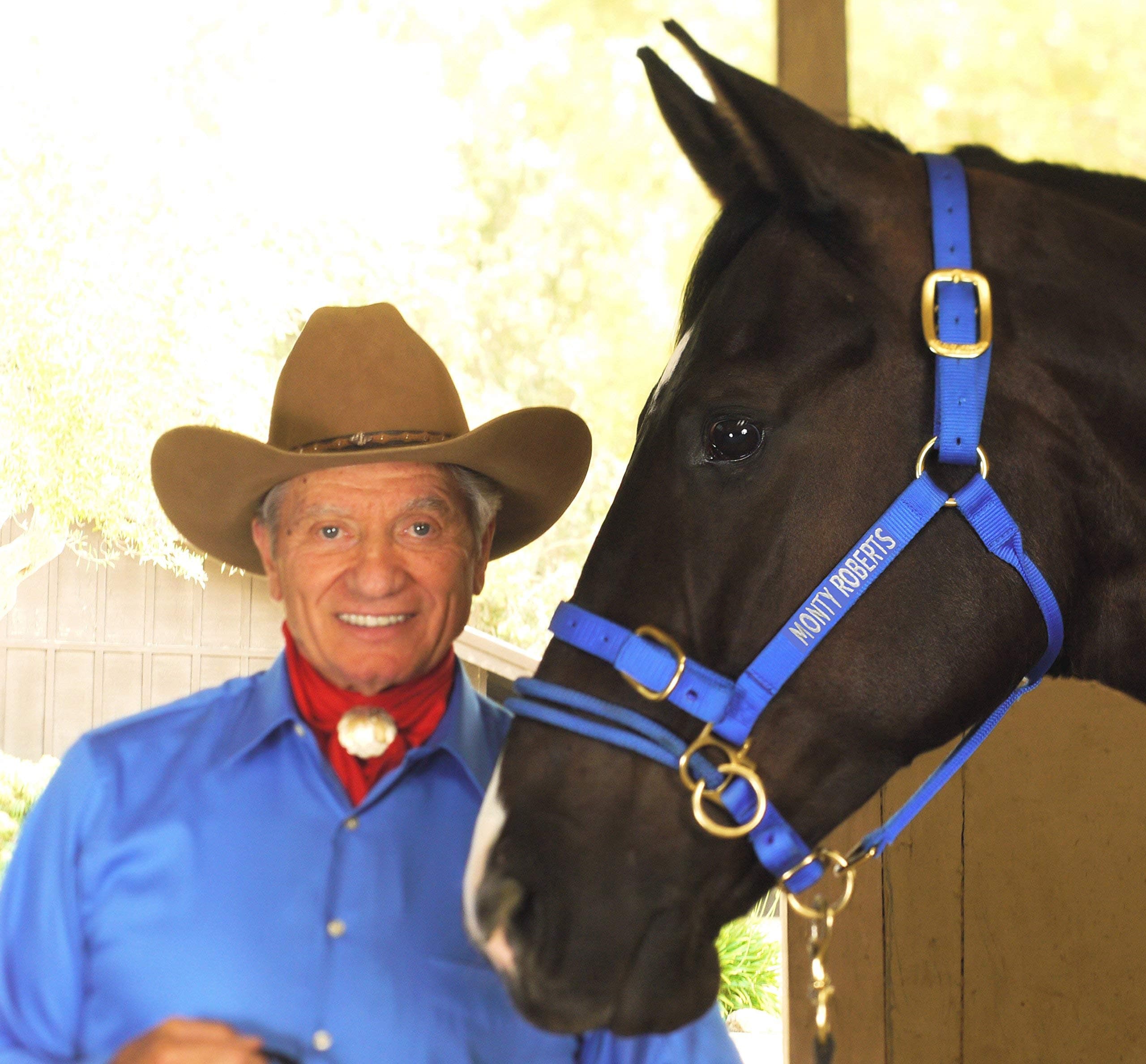 Monty Roberts Dually Headcollar