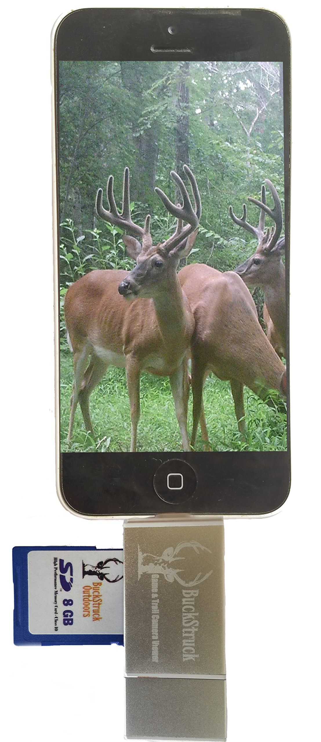 BuckStruck Game and Trail Camera Viewer for Apple iPhone, iPad, iPod - includes Lightning Extender - for Hunting and Game Cameras - Reads SD, SDHC and Micro SD Cards