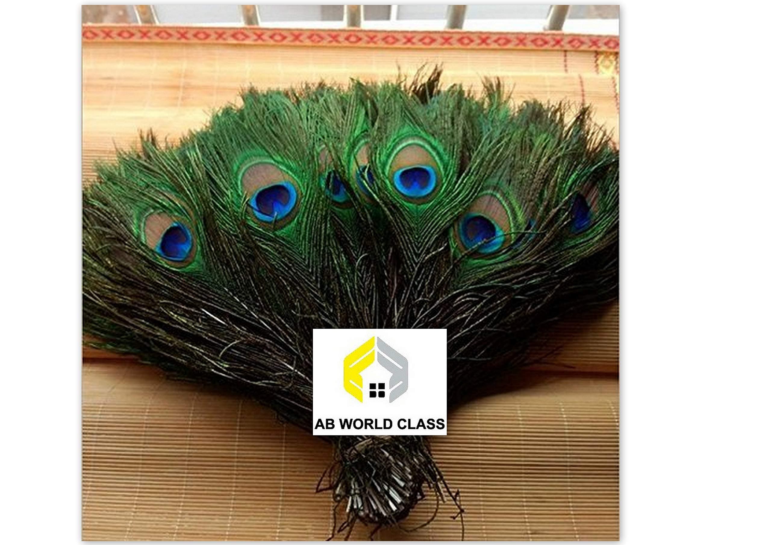 MOR PANKH - Pack of 15