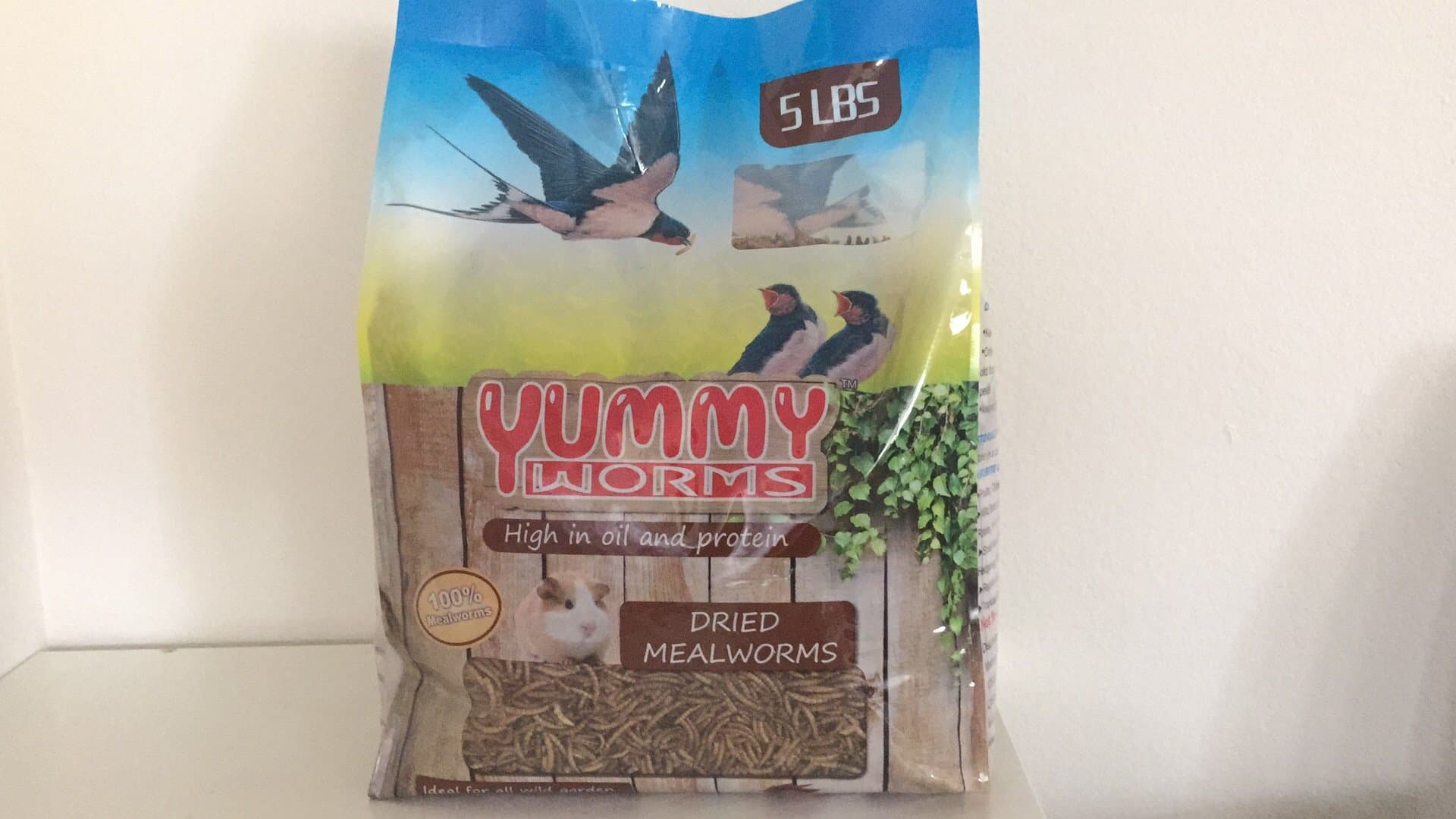 5 lb Dried Mealworms Wild Bird Food,