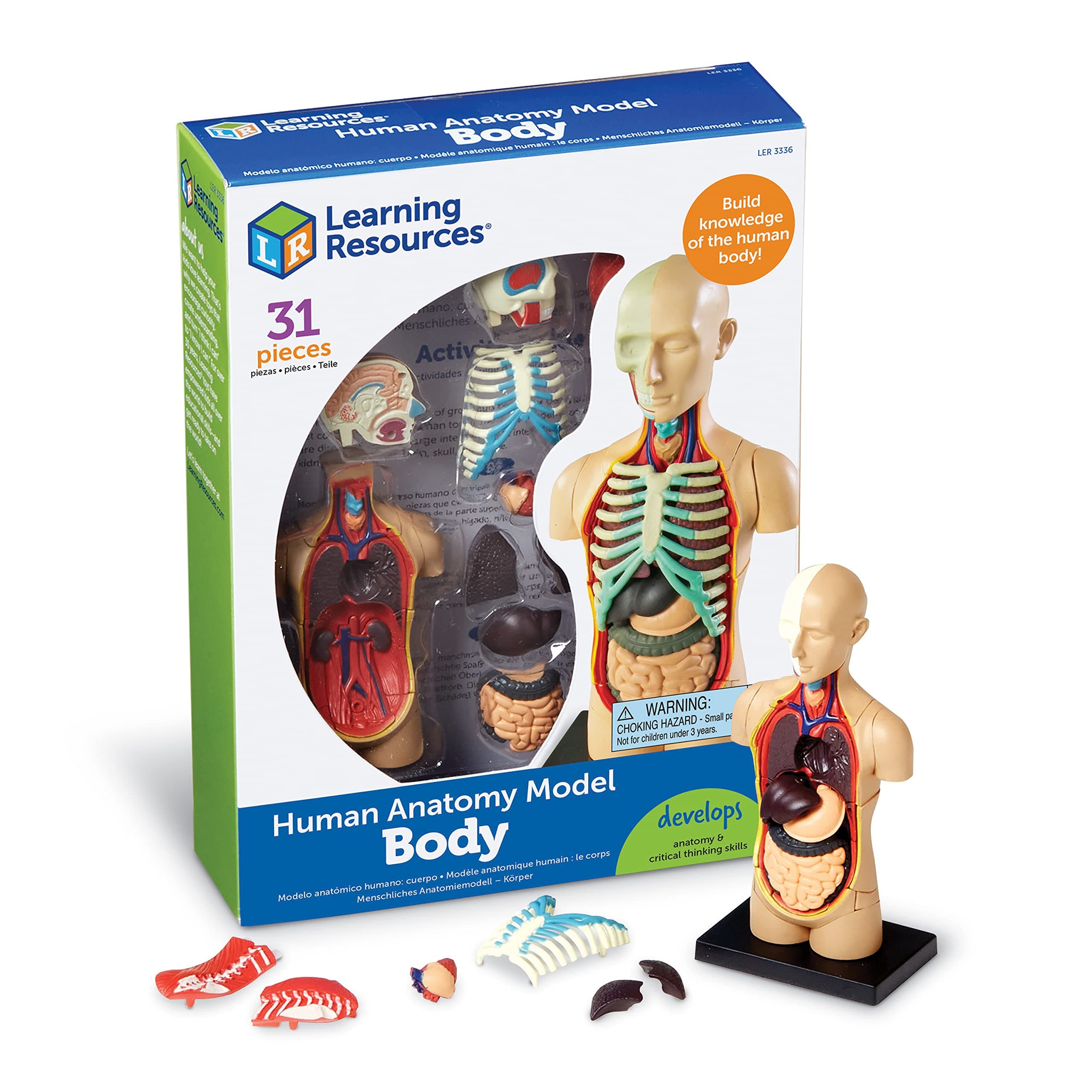 Human Body Model, Science Classroom Demonstration Tools, Realistic Human Anatomy Display, 31 Pieces, Grades 3+, Ages 8+