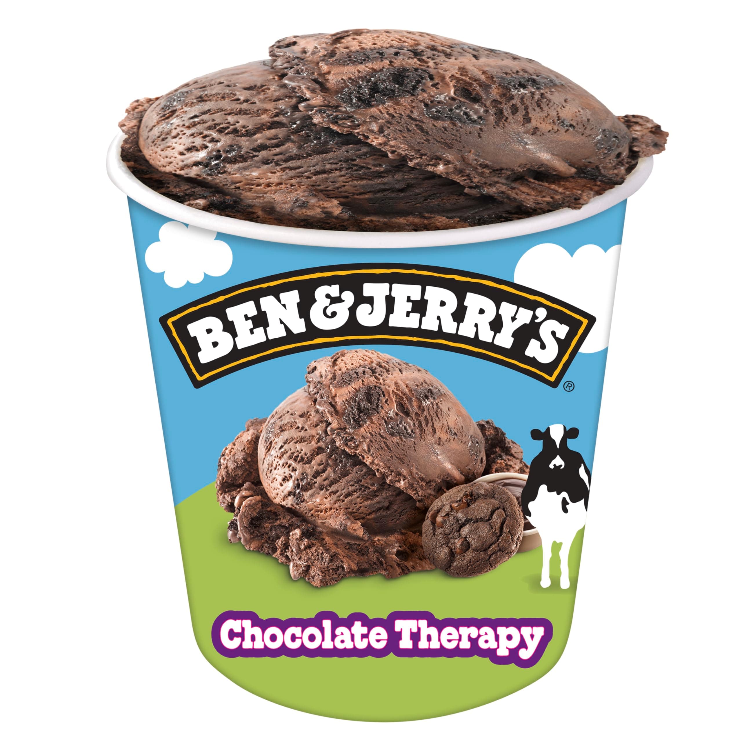Ben & Jerry's Ice Cream Chocolate Therapy 16 oz