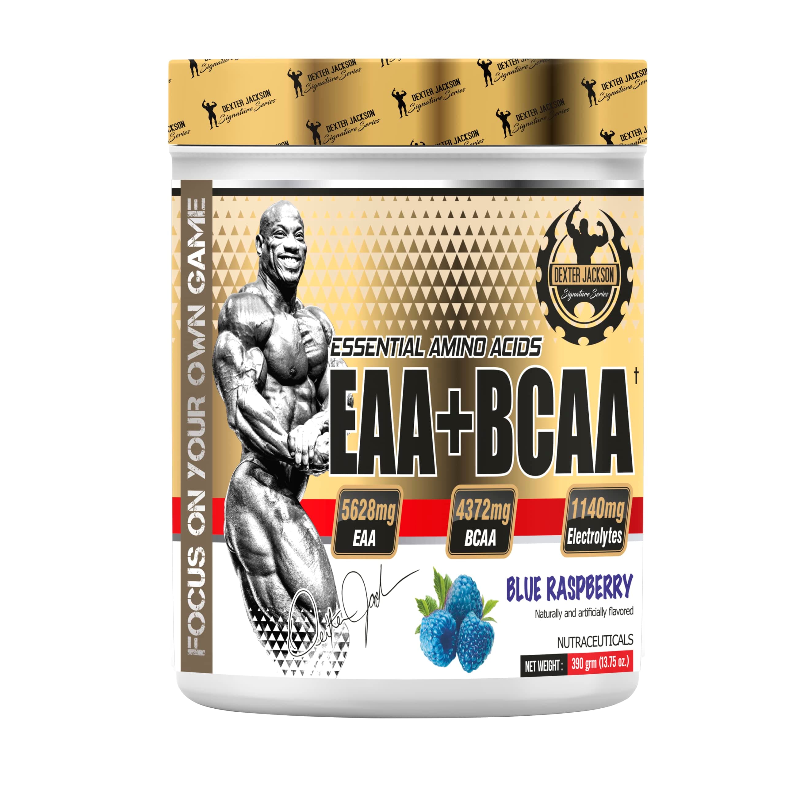 EAA+BCAA | Improve Exercise Performance & Maximize Muscle Gains | Blue Raspberry Flavor | 390 Gram - Advanced Amino Acid Blend