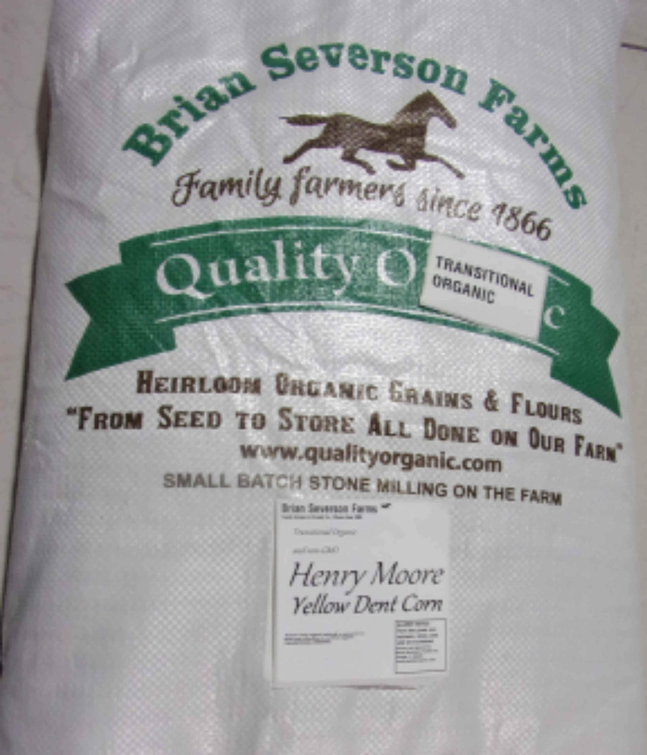 Henry Moore Yellow Corn | Heirloom Open Pollinated Yellow Dent Corn kernels | 15 lbs. | Farmer Direct (non-GMO)