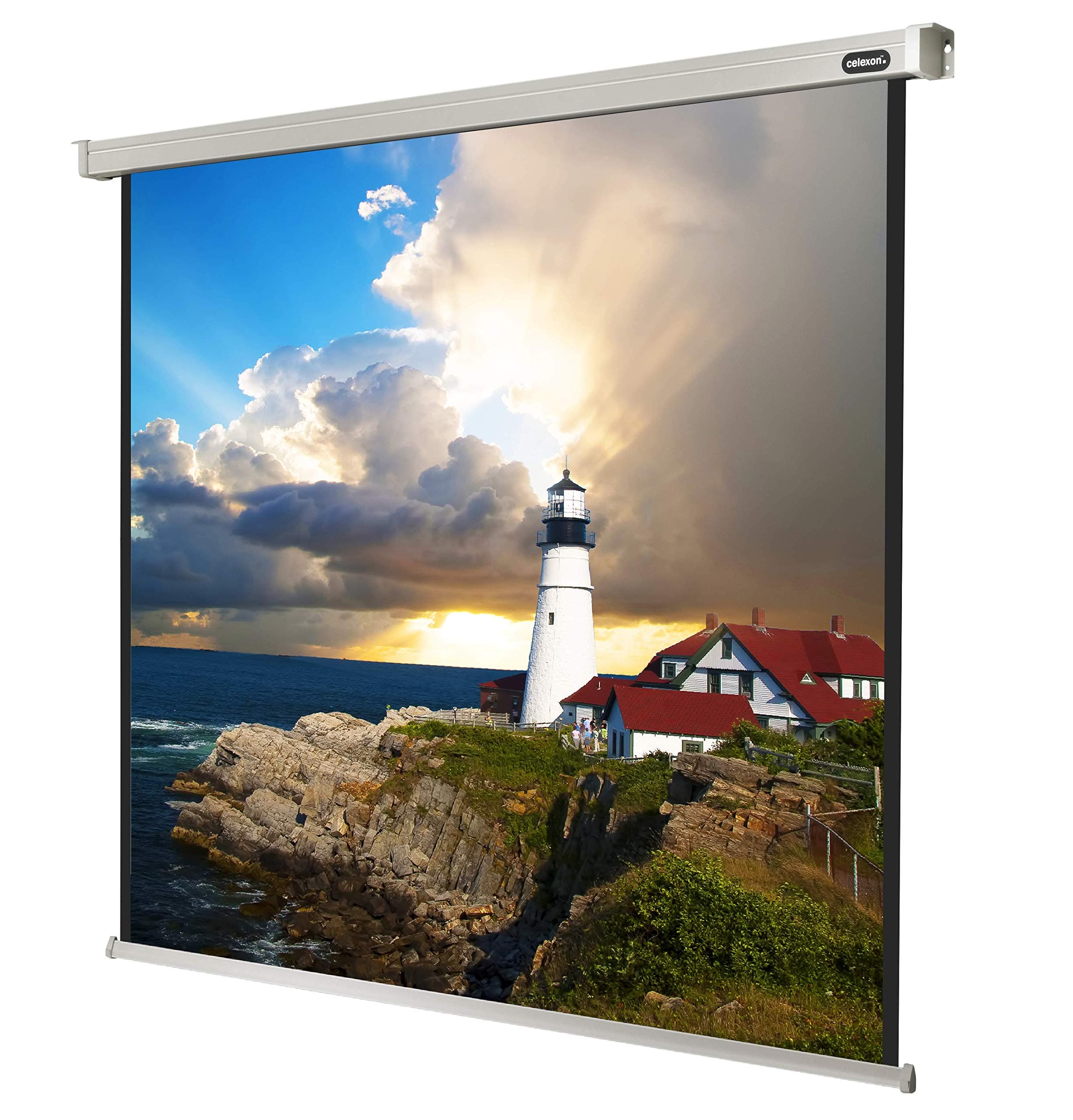 celexon electric home cinema and presentation projector screen wall or ceiling mountable electric screen Professional - 120x120cm - 64” - 1:1