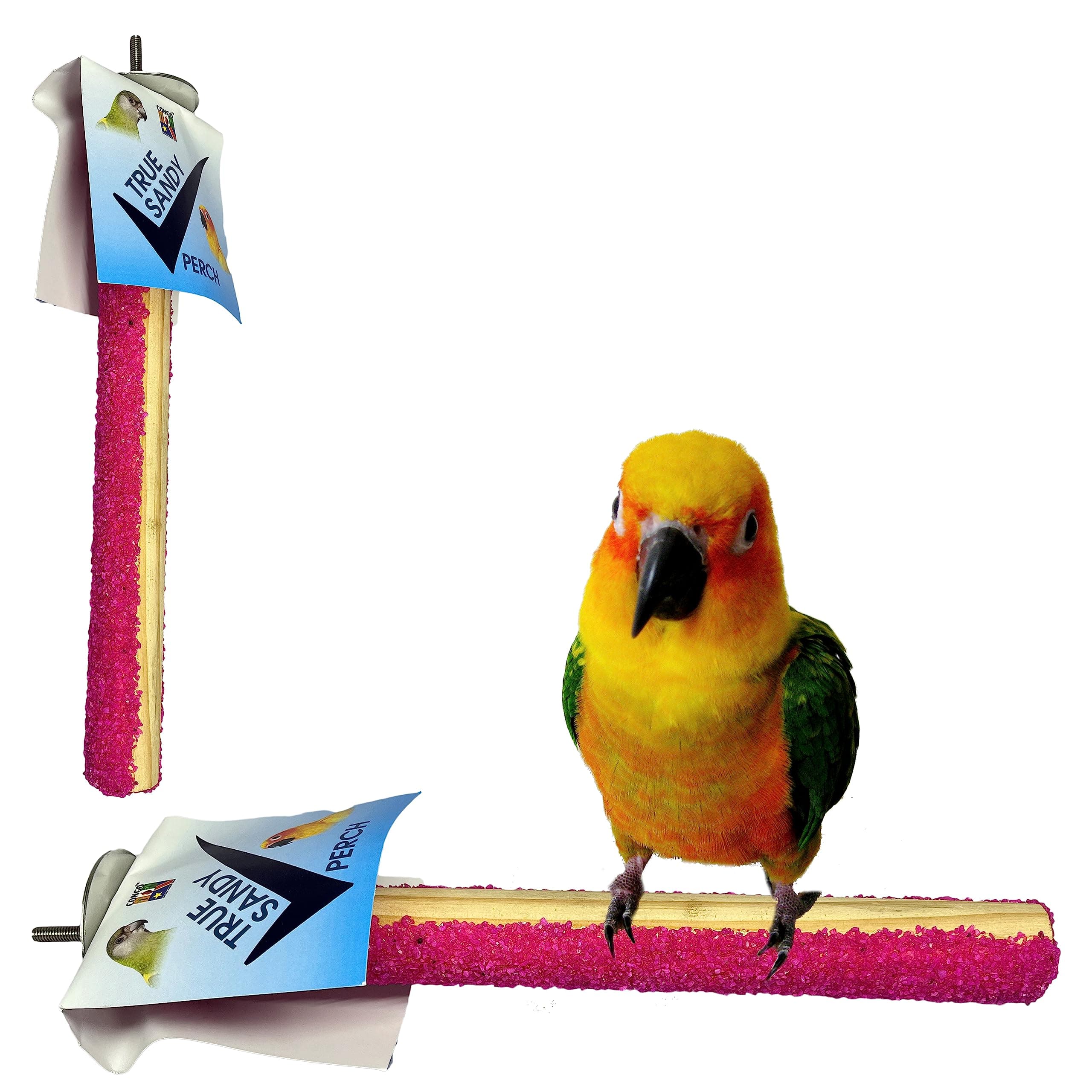 - Congo® 12" True Sandy Sand Perch for Specially Nail Grinding for Conure, African Grey and Other Medium Birds (12 Inch)