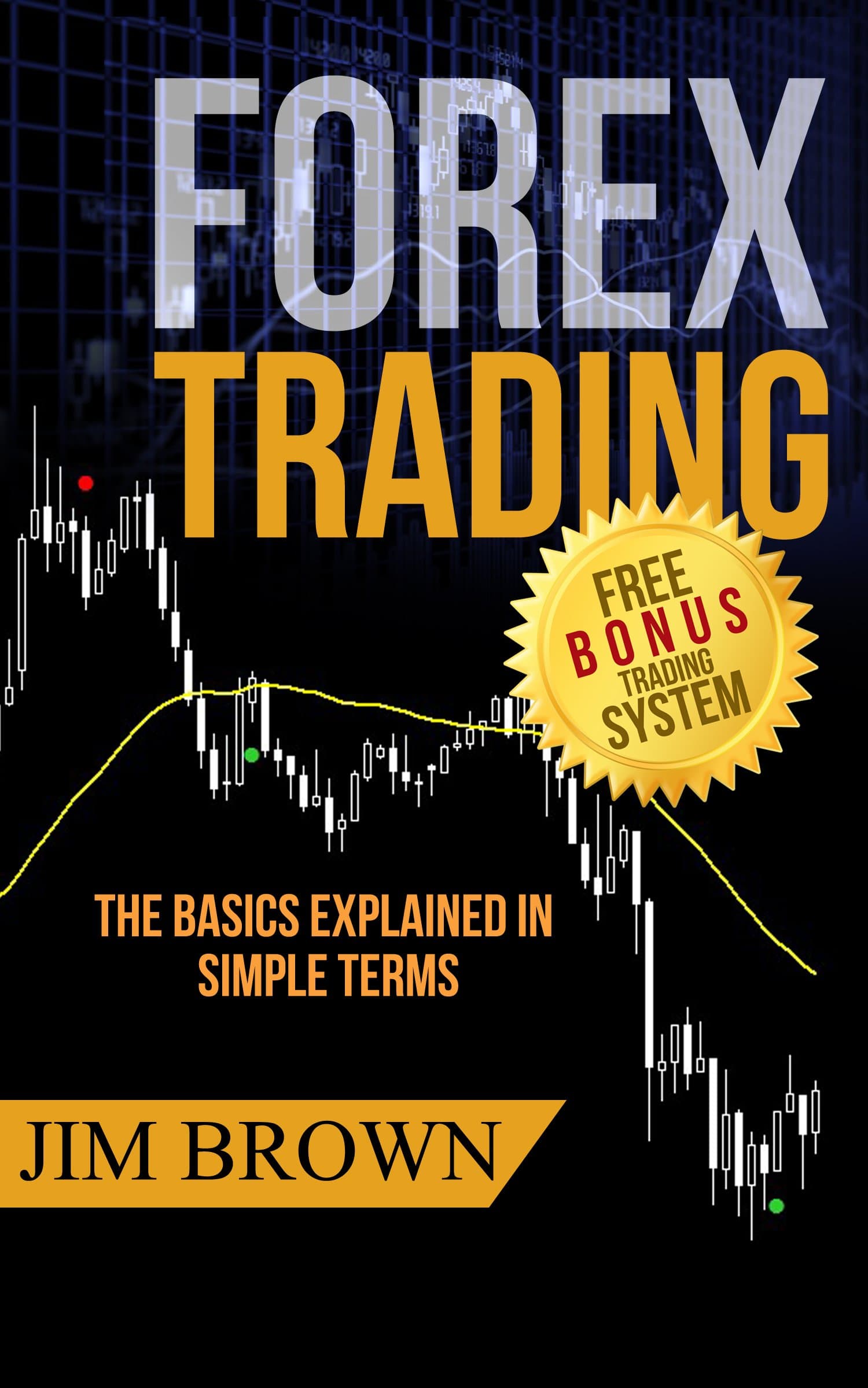 Forex Trading: The Basics Explained in Simple Terms (Bonus System incl. video...
