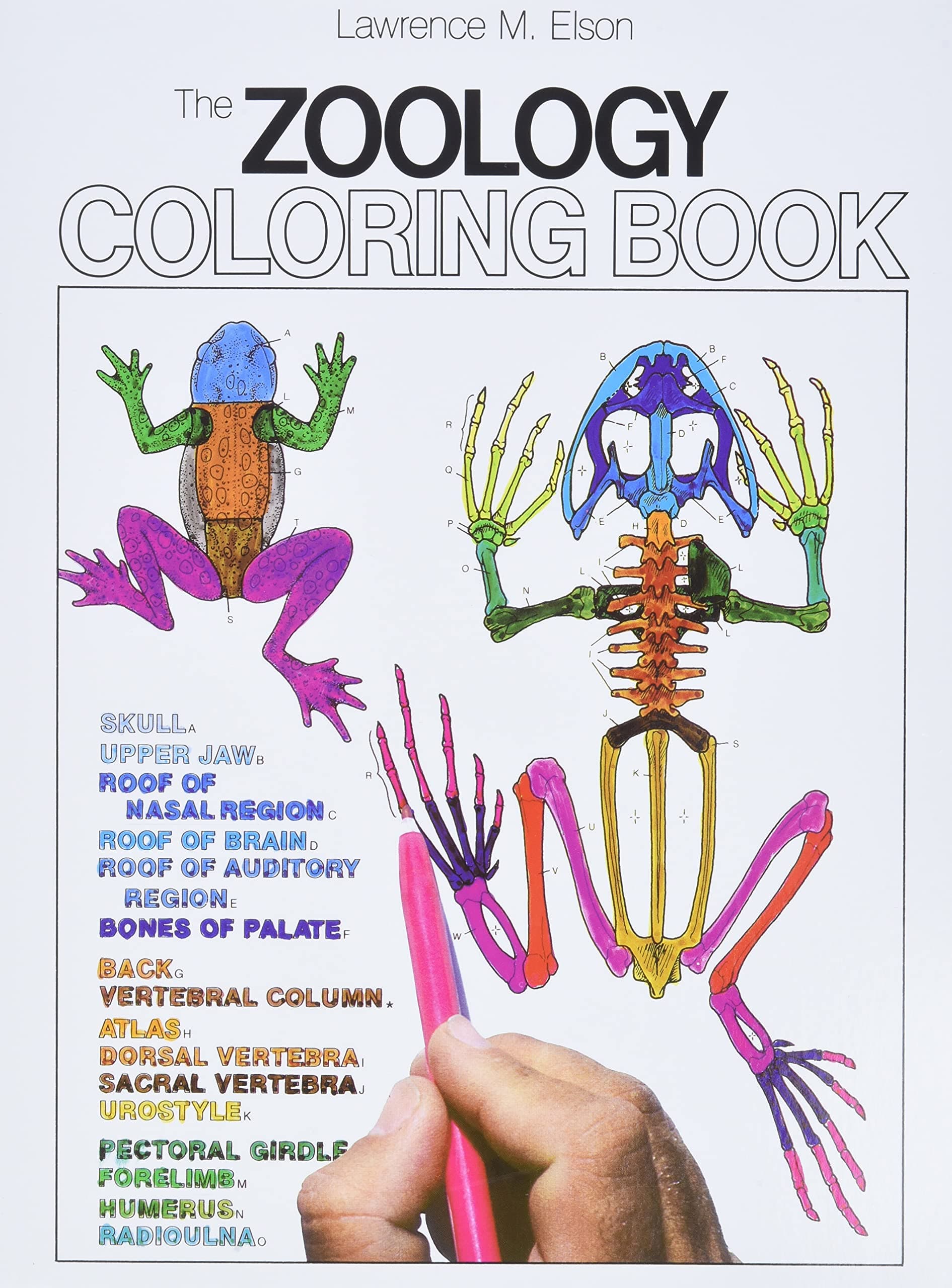 The Zoology Coloring Book