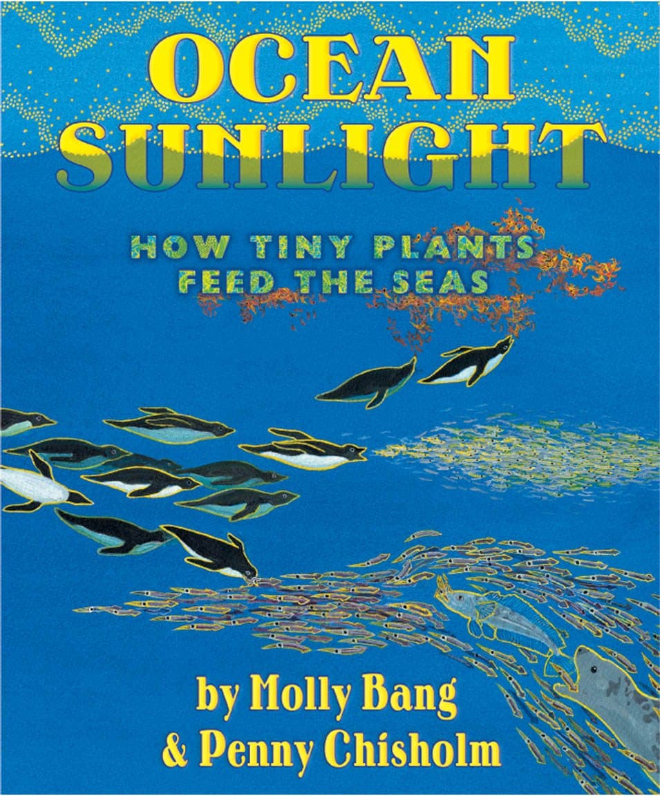 Ocean Sunlight: How Tiny Plants Feed the Seas (Sunlight Series)