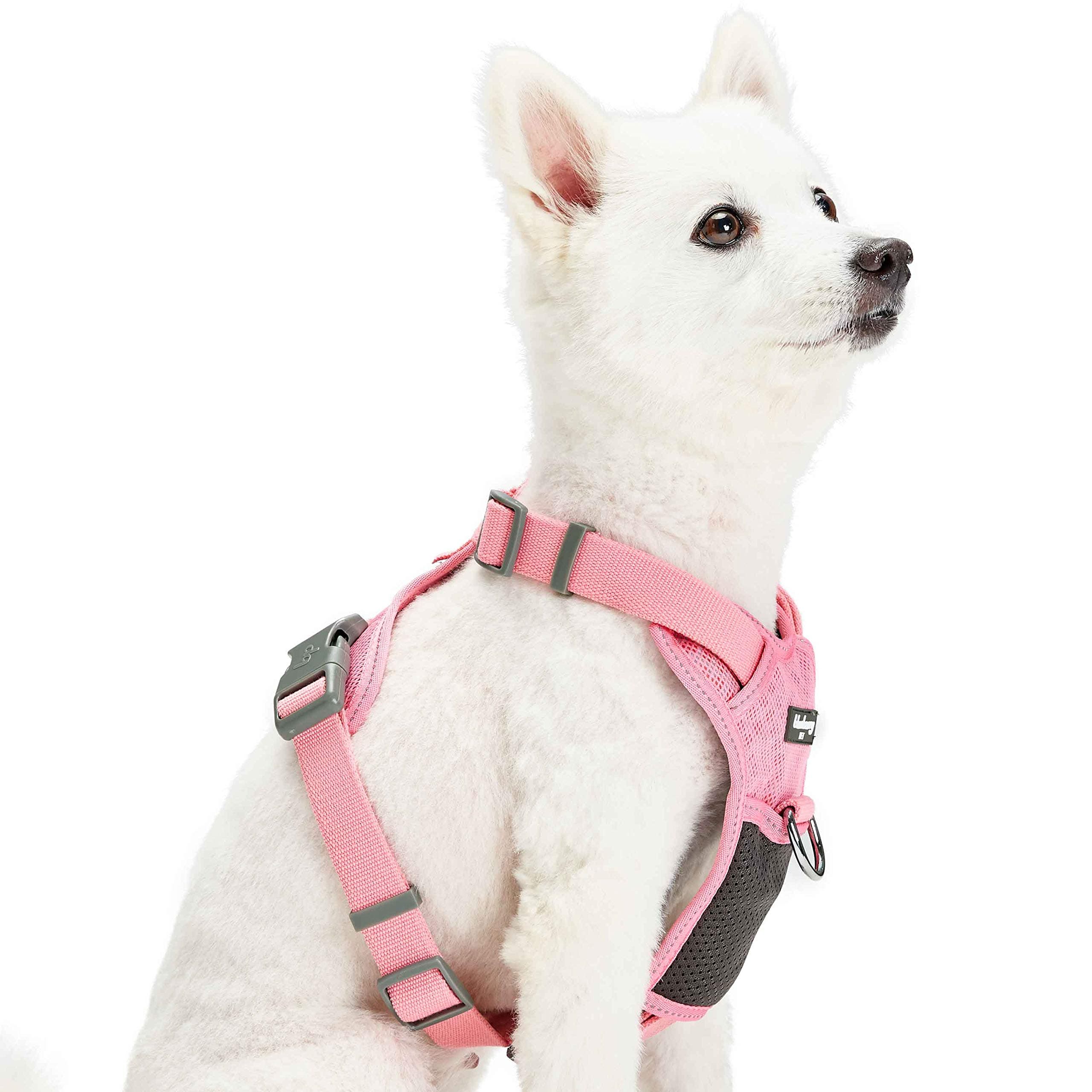 Blueberry Pet Soft & Comfy Reflective Mesh Padded No Pull Dog Harness Vest in Pink, Small, Adjustable Harnesses for Dogs