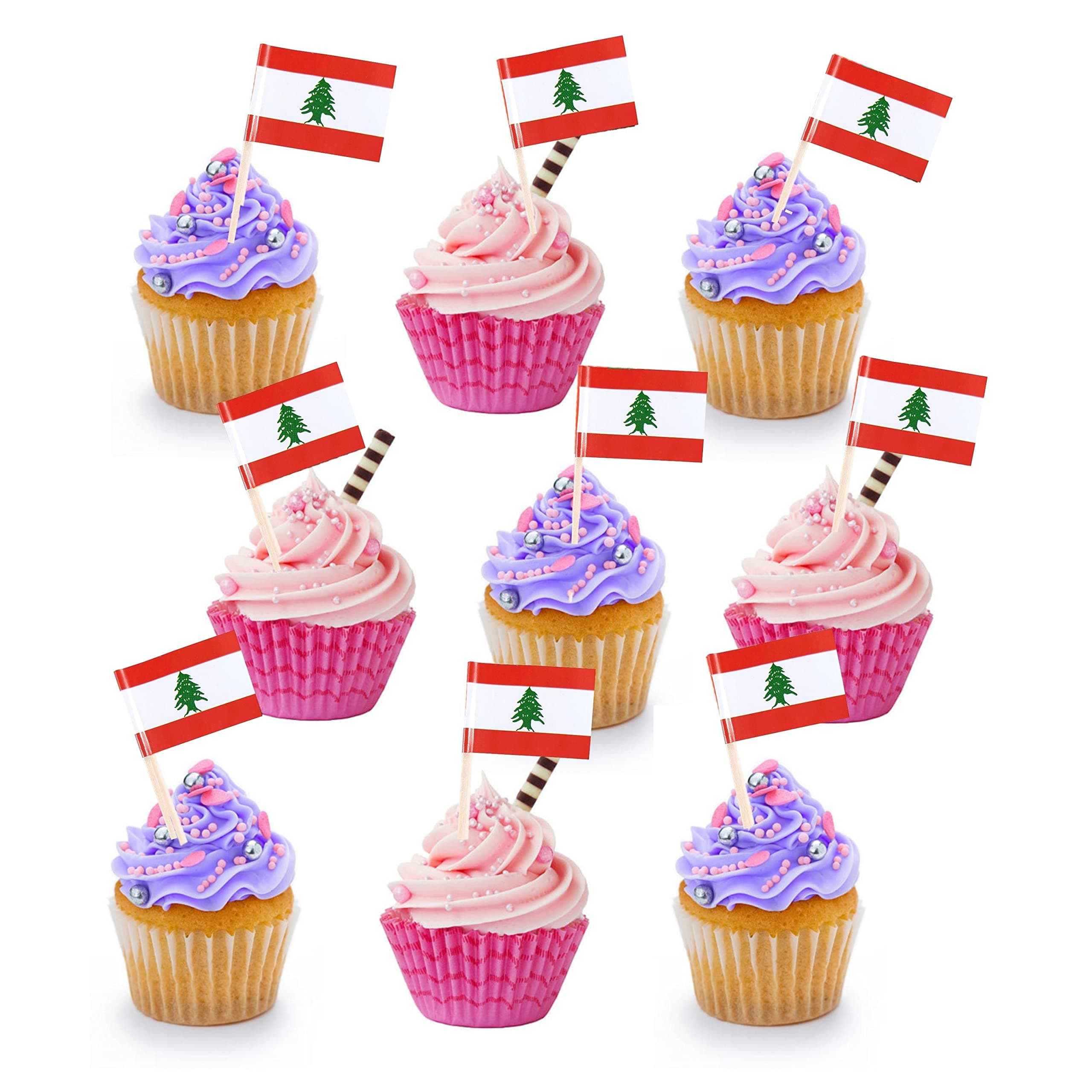 Flag Double Sided Cake Topper Countries Toothpick Flag UAE Saudi Egypt Morocco Pakistan India Lebanon UK Flag Day National Day Party Supplies Flag Decoration for Baby Birthday Party (Lebanon)