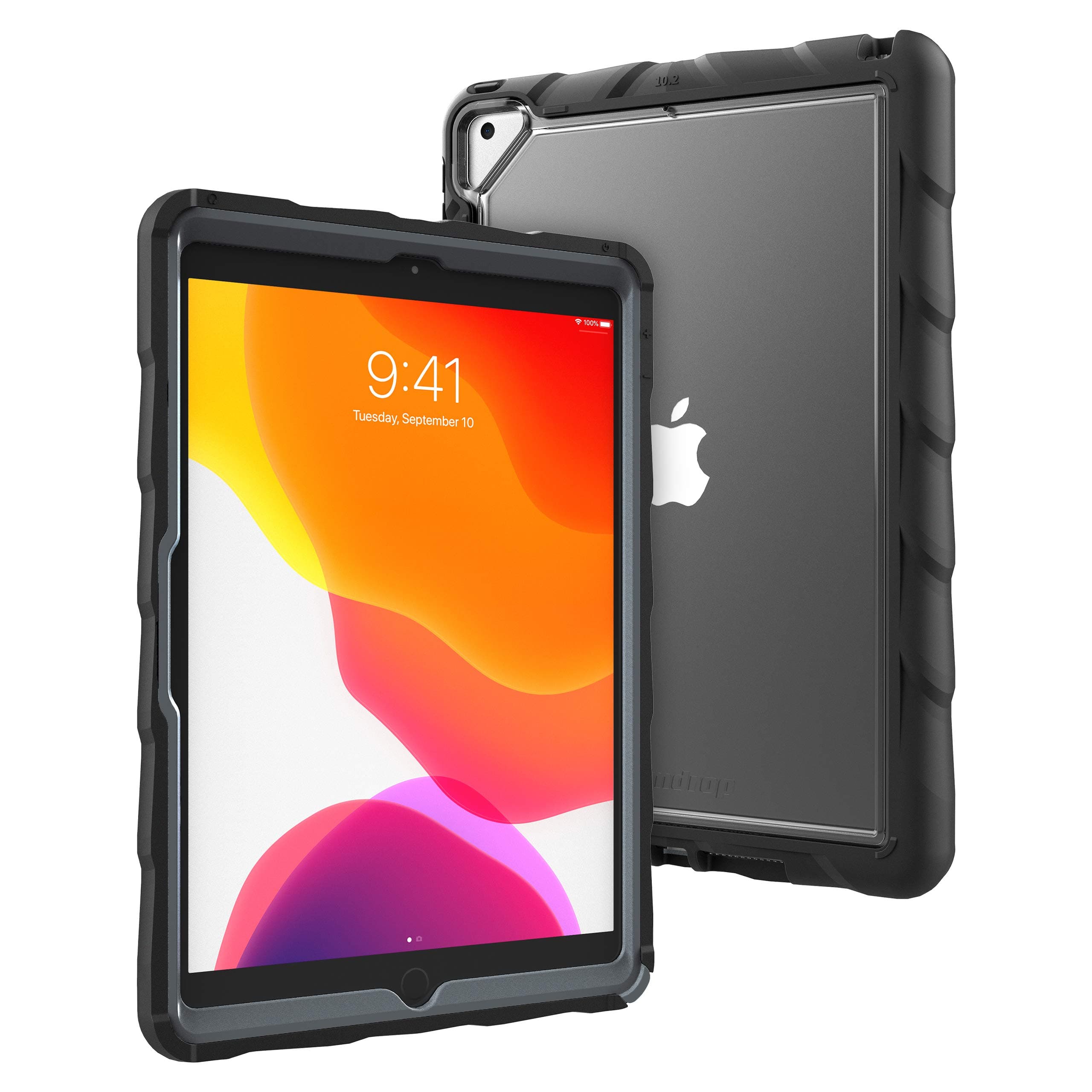 DropTech Clear Case for iPad 10.2-inch (9th, 8th, 7th gen)