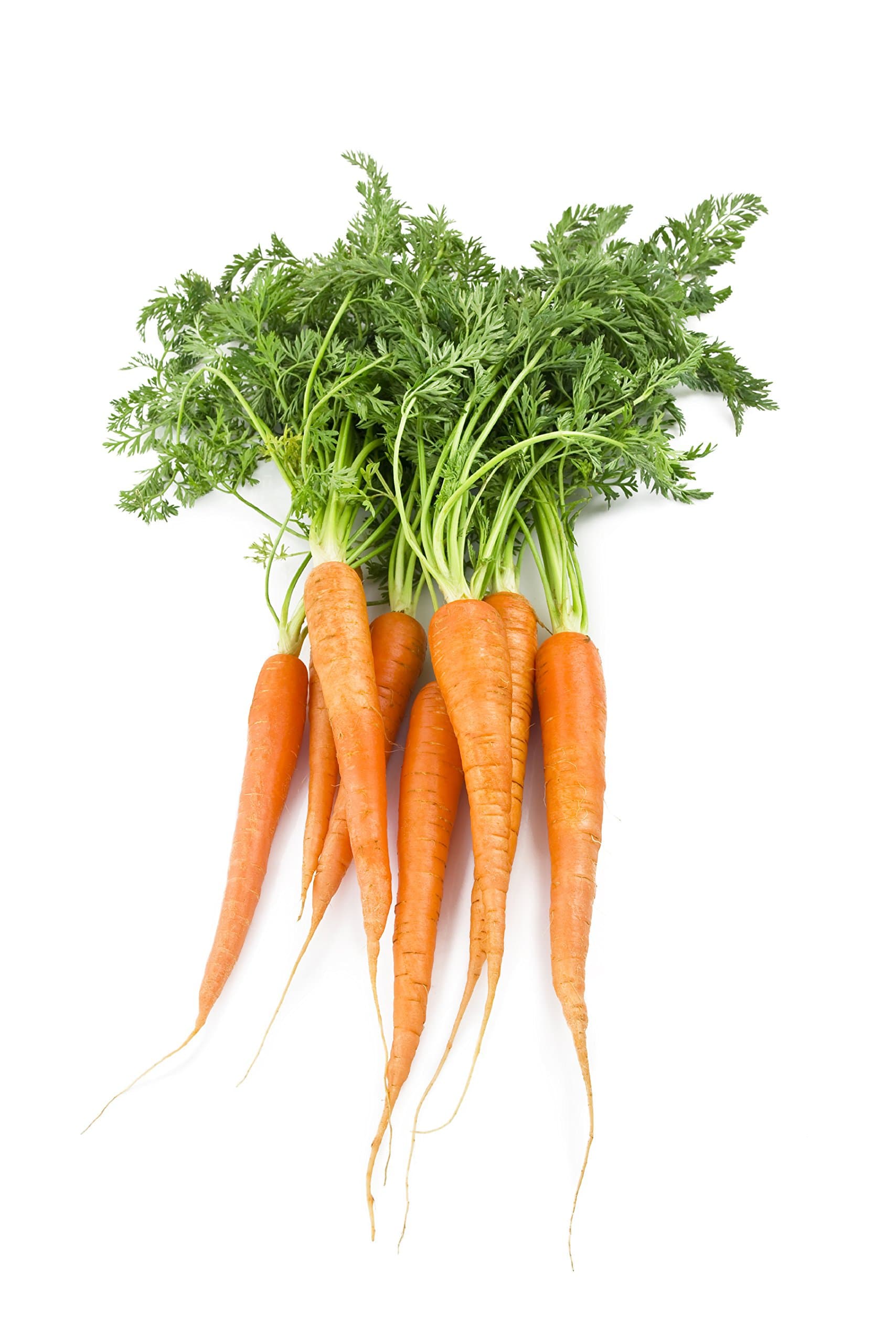 Locally Grown Carrots, 2 Bunches