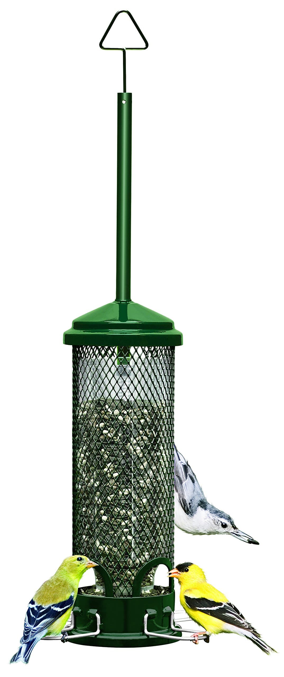 Squirrel Buster Mini Squirrel-Proof Bird Feeder for Wild Birds – 4 Metal Perches, 1 lb Seed Capacity, Chew-Proof Design, Lifetime Care, Garden Green