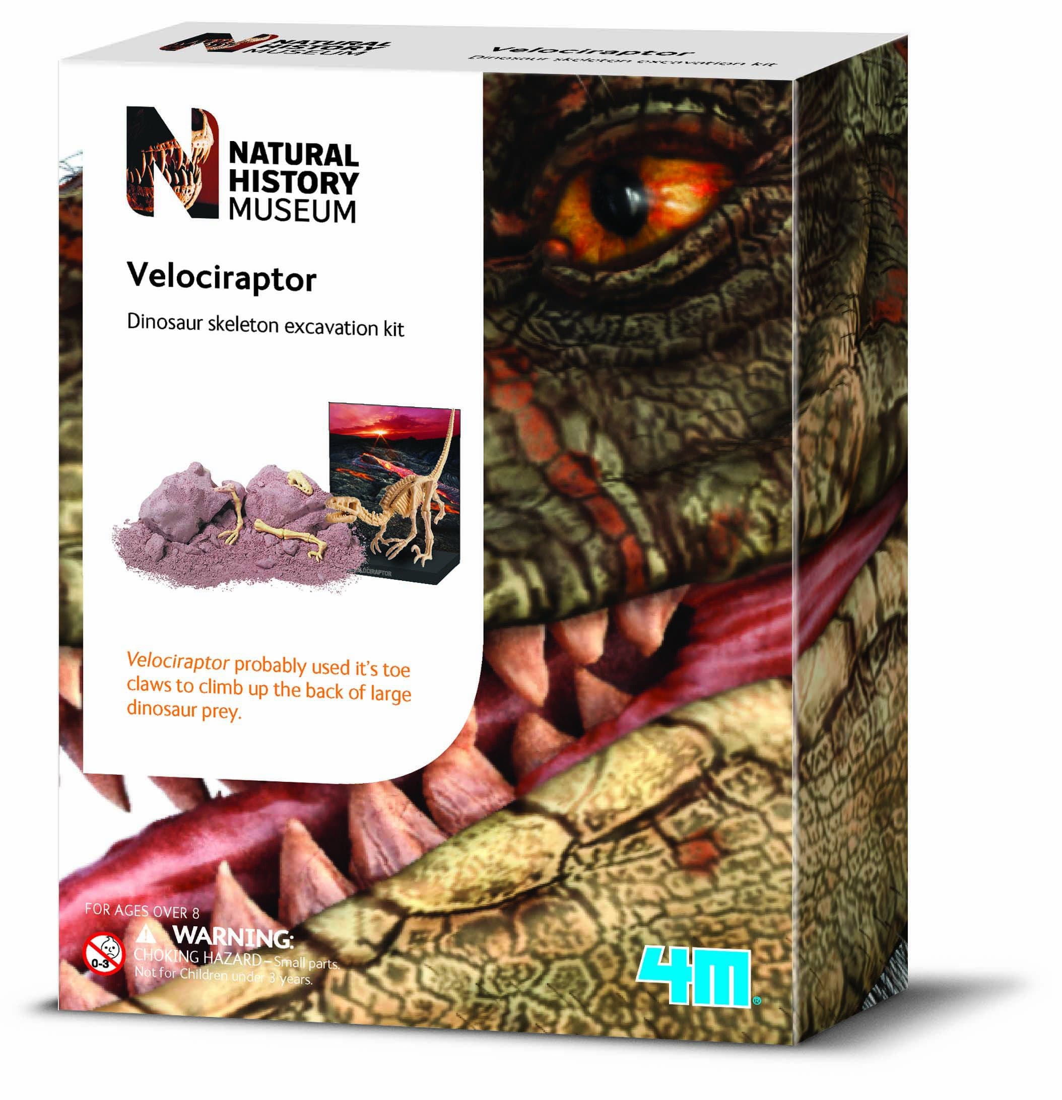 Natural History Museum Dig a Velociraptor Skeleton