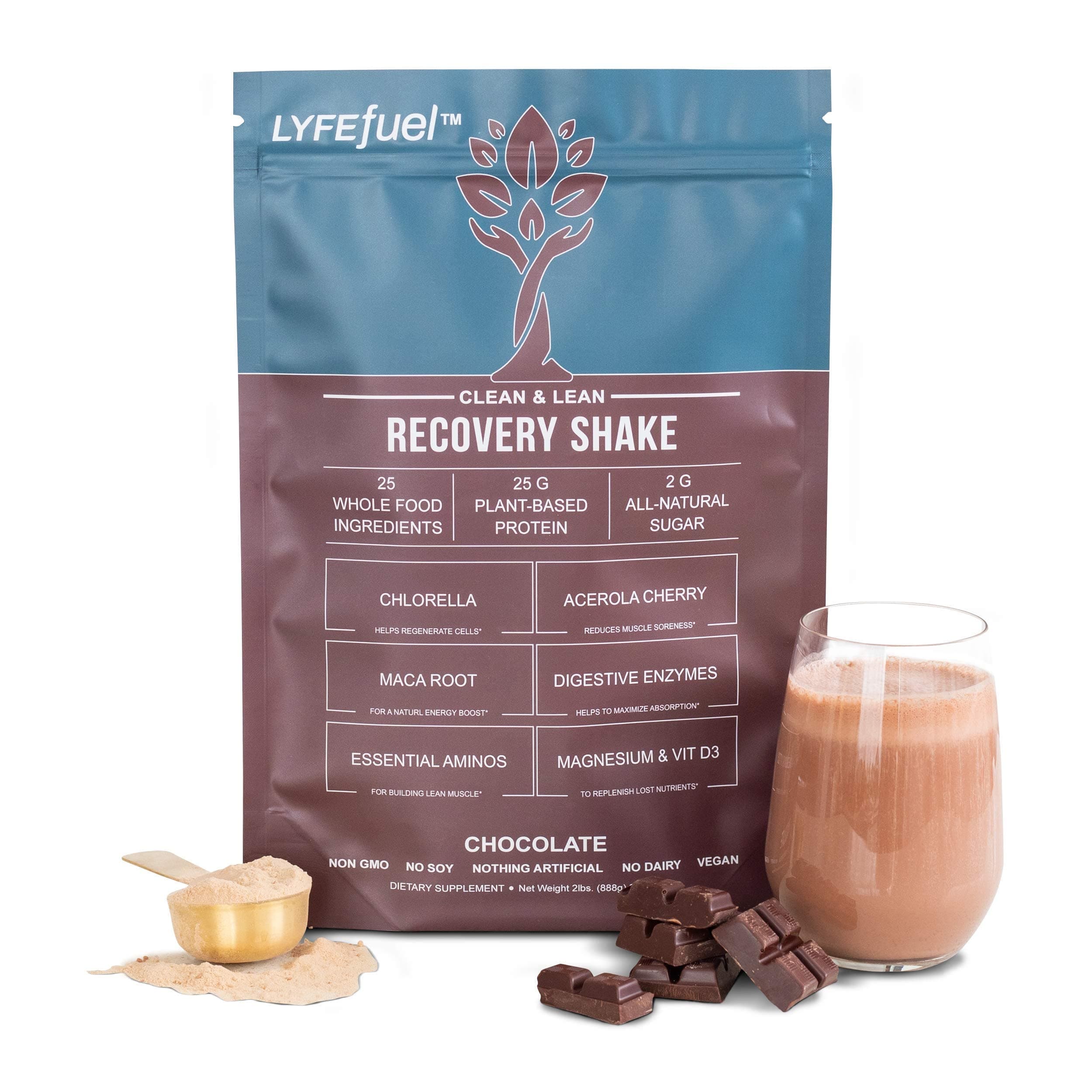 LyfeFuel Post Workout Shake - Clean Vegan Protein Post Workout Recovery Drink (Chocolate, 1lb) - Superfood Powder Drink for Muscle Recovery, Weight Gain & Muscle Building - Keto, Dairy-Free, Soy-Free